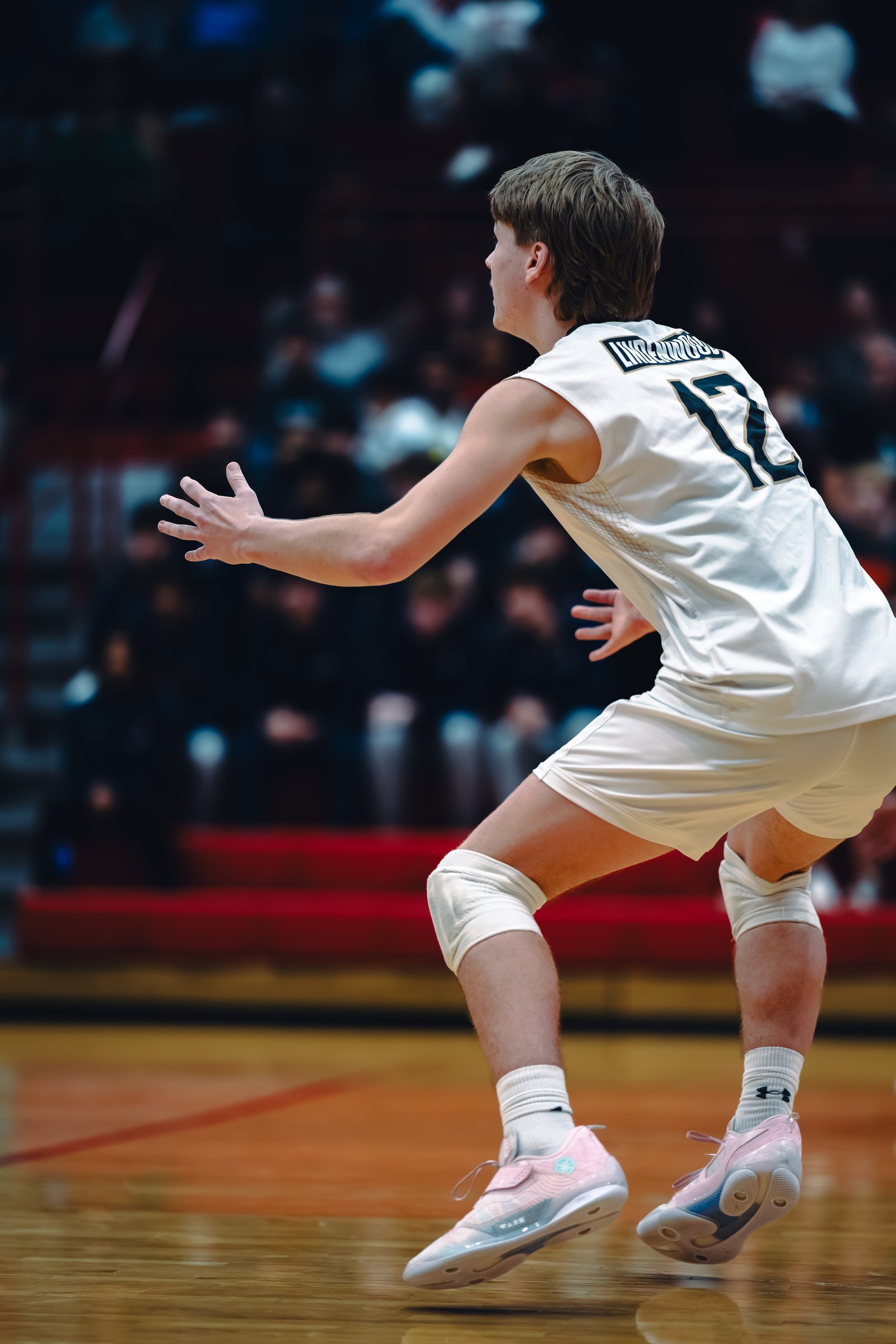 College MVB - Lewis vs Lindenwood - 04-02-2026