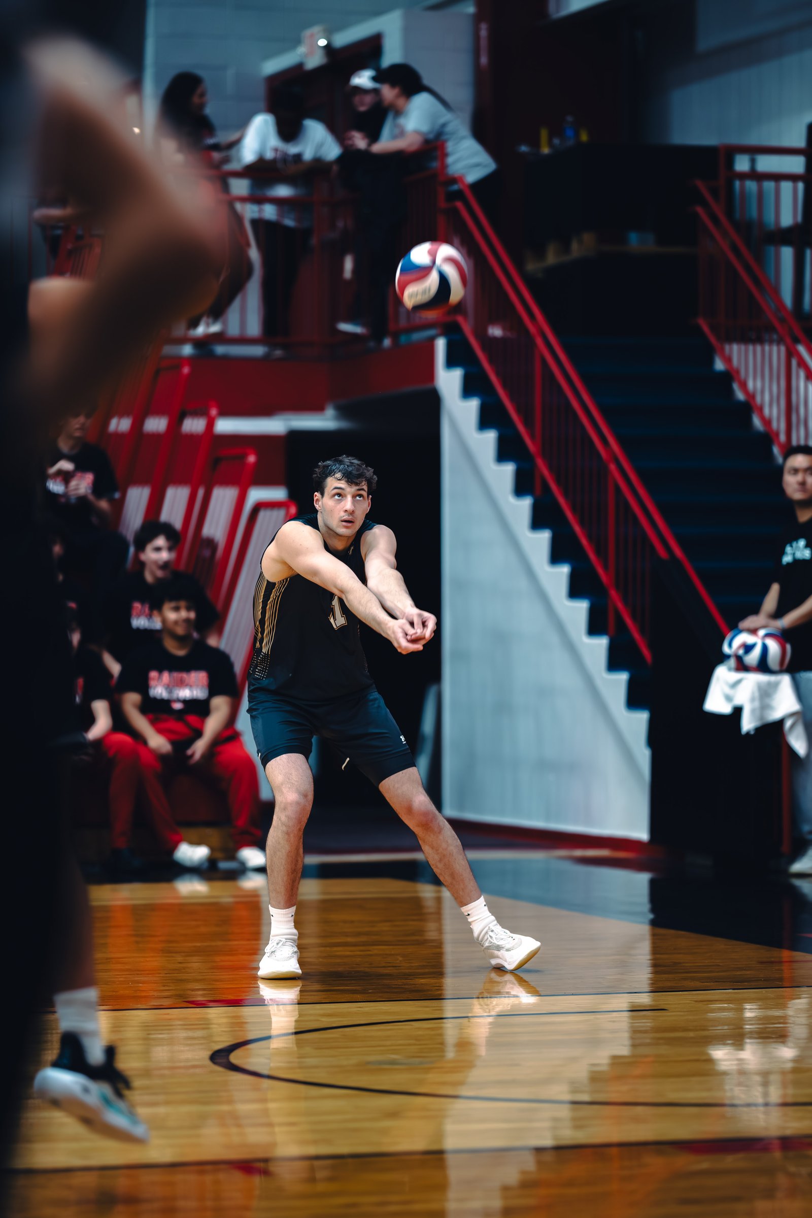 College MVB - Lewis vs Lindenwood - 04-02-2026