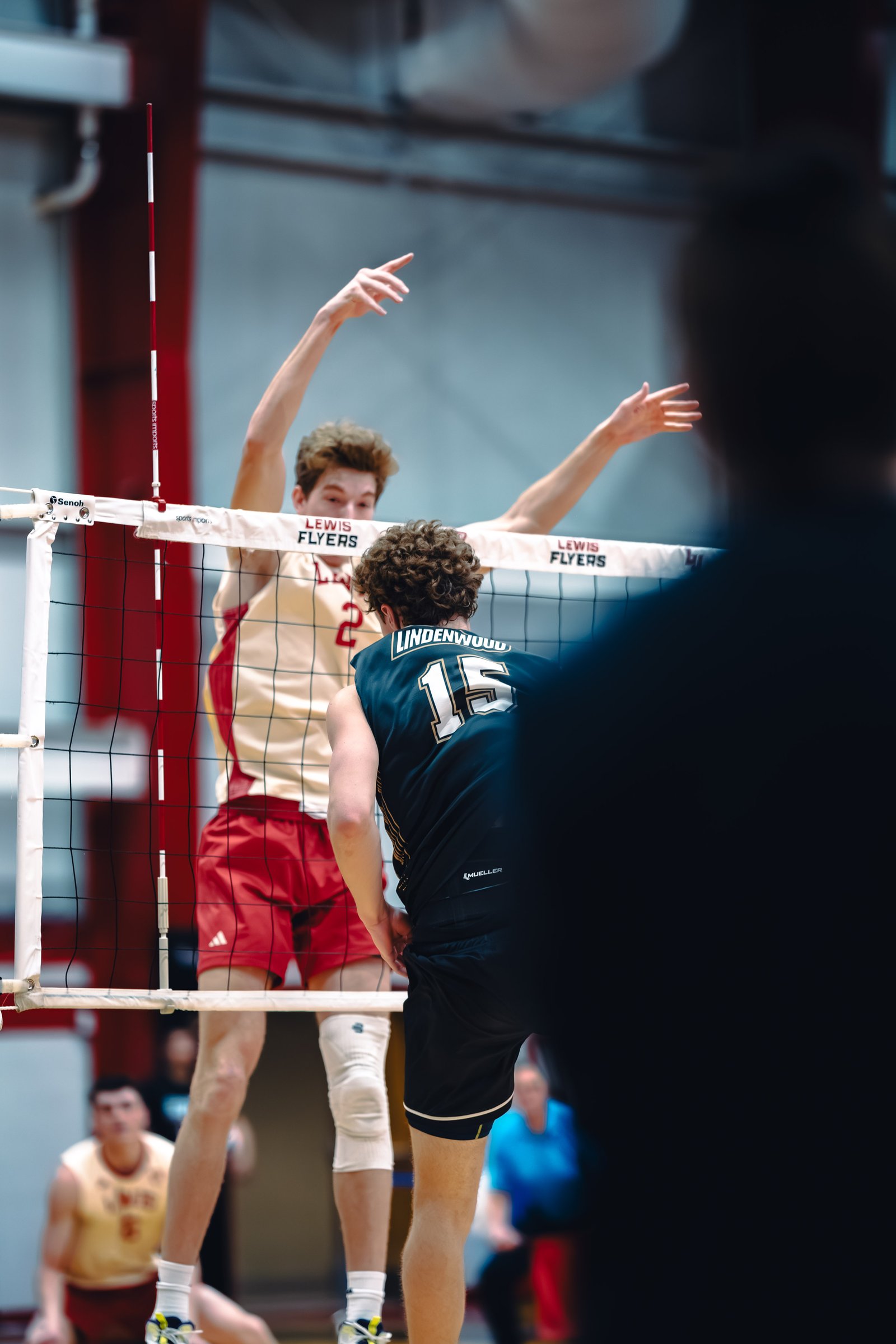 College MVB - Lewis vs Lindenwood - 04-02-2026
