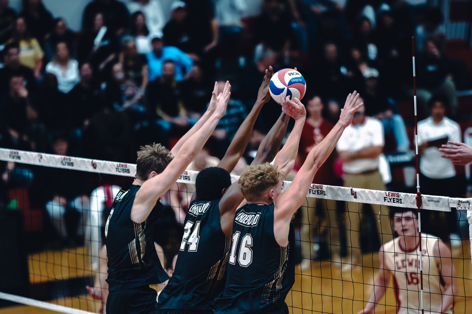 College MVB - Lewis vs Lindenwood - 04-02-2026
