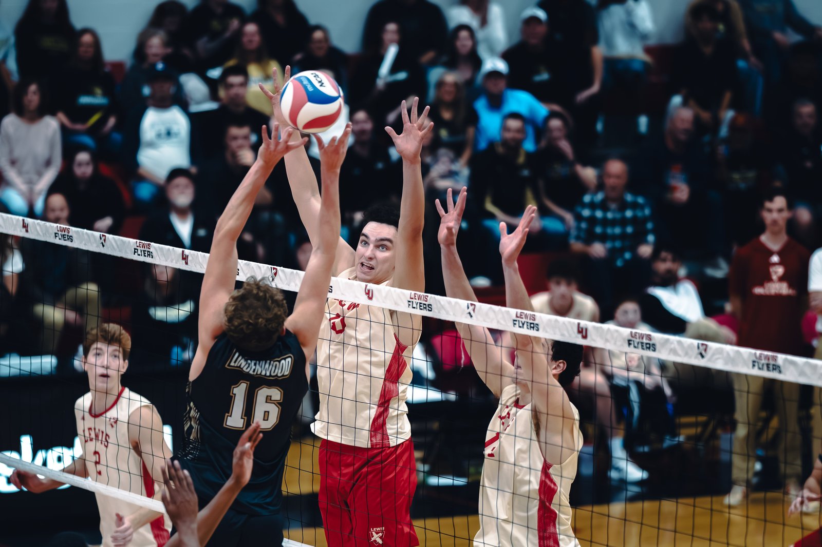 College MVB - Lewis vs Lindenwood - 04-02-2026