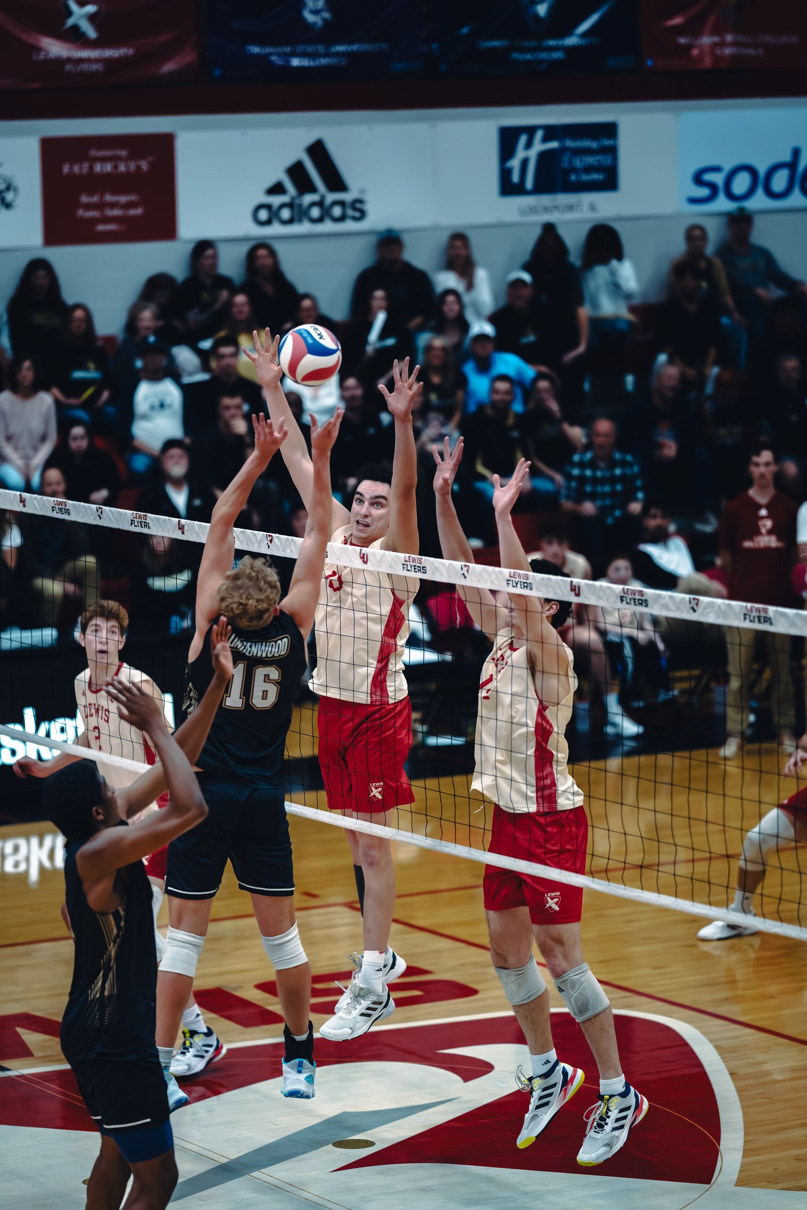 College MVB - Lewis vs Lindenwood - 04-02-2026