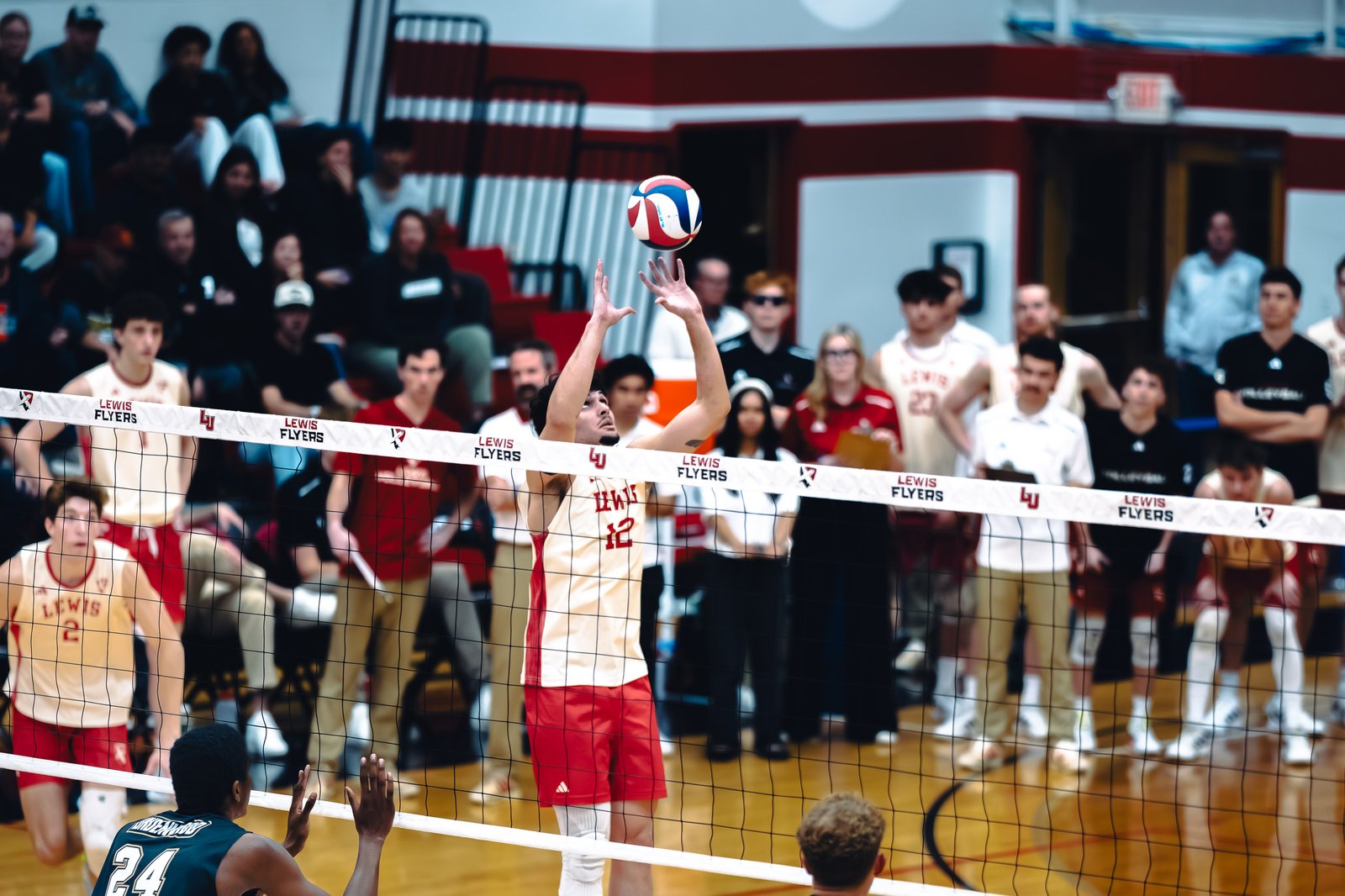 College MVB - Lewis vs Lindenwood - 04-02-2026