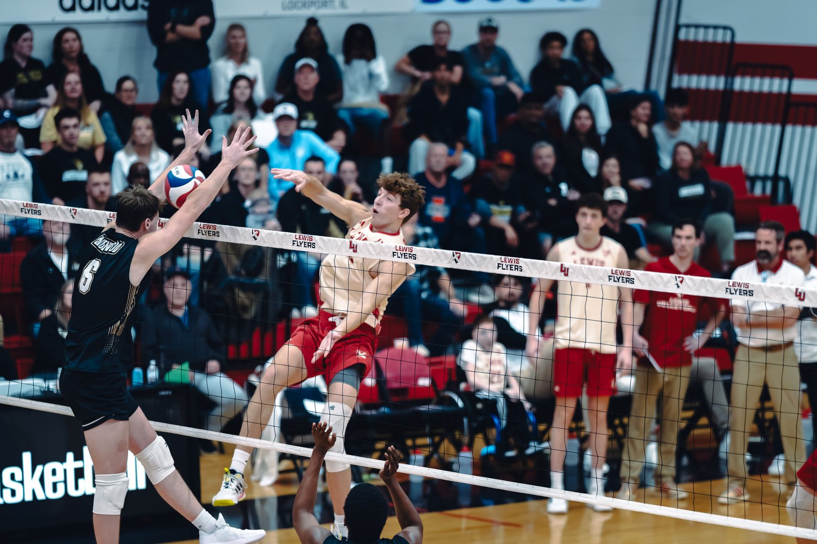 College MVB - Lewis vs Lindenwood - 04-02-2026