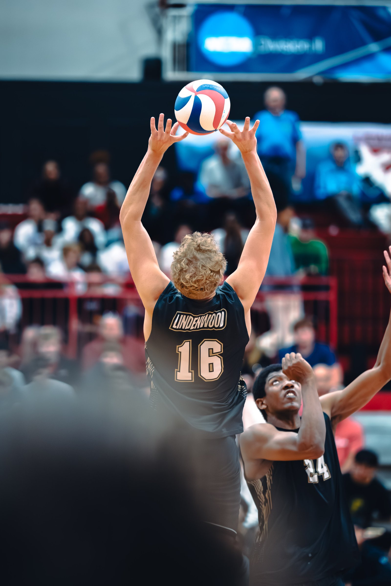 College MVB - Lewis vs Lindenwood - 04-02-2026