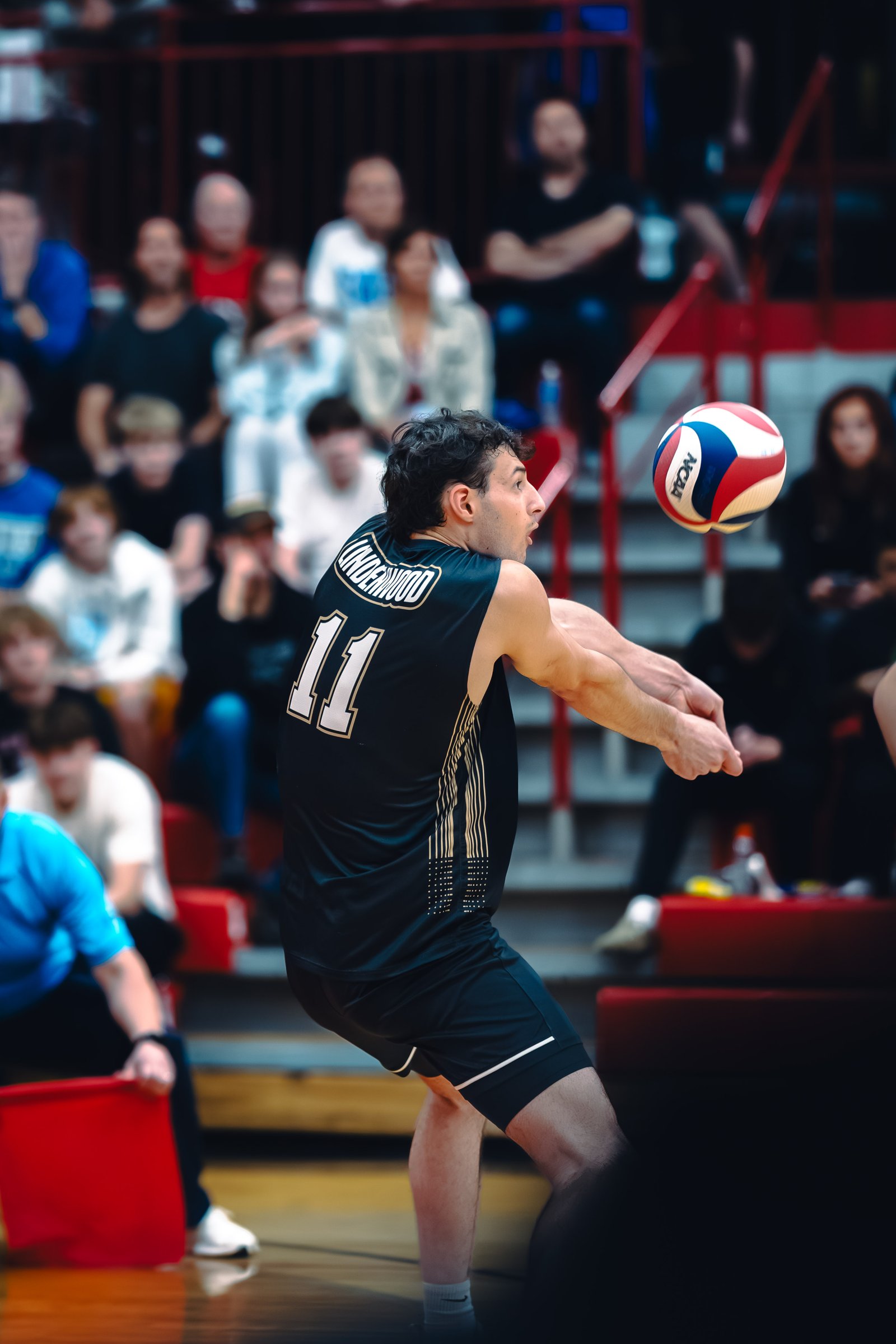 College MVB - Lewis vs Lindenwood - 04-02-2026