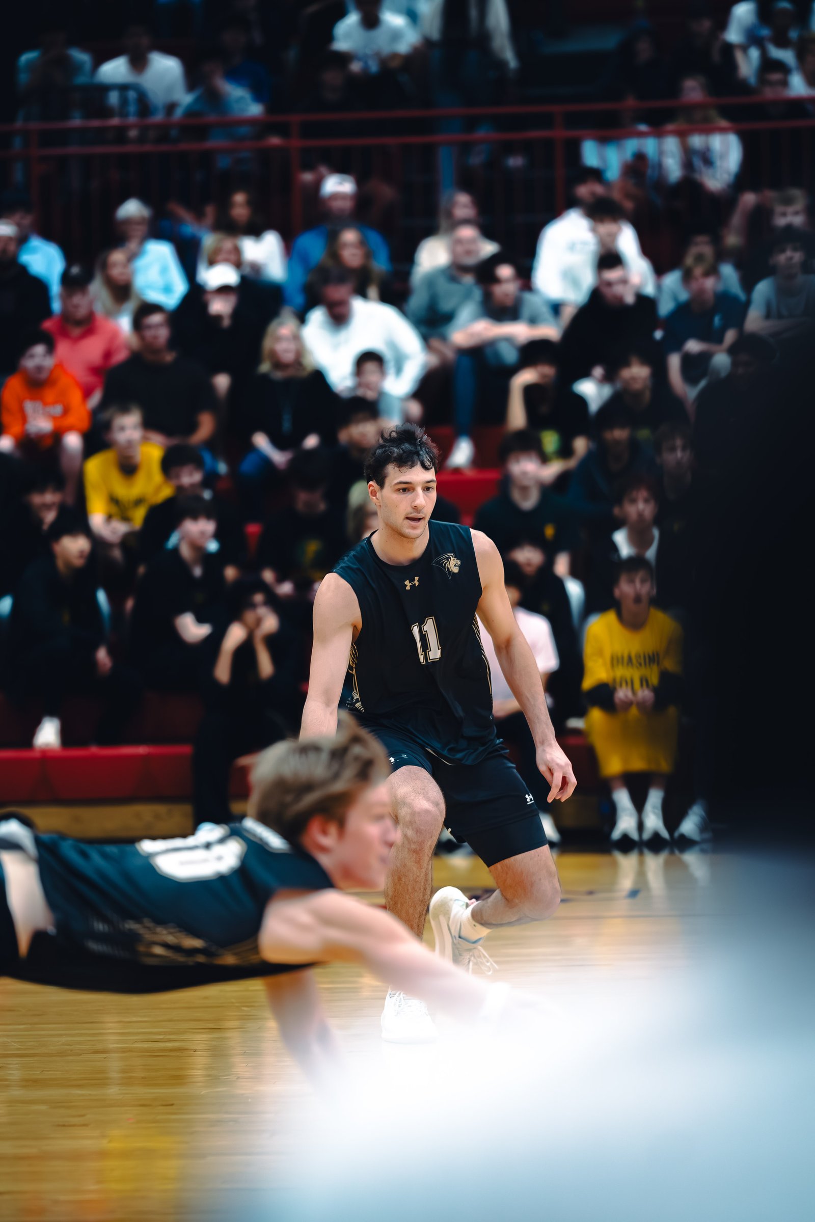 College MVB - Lewis vs Lindenwood - 04-02-2026