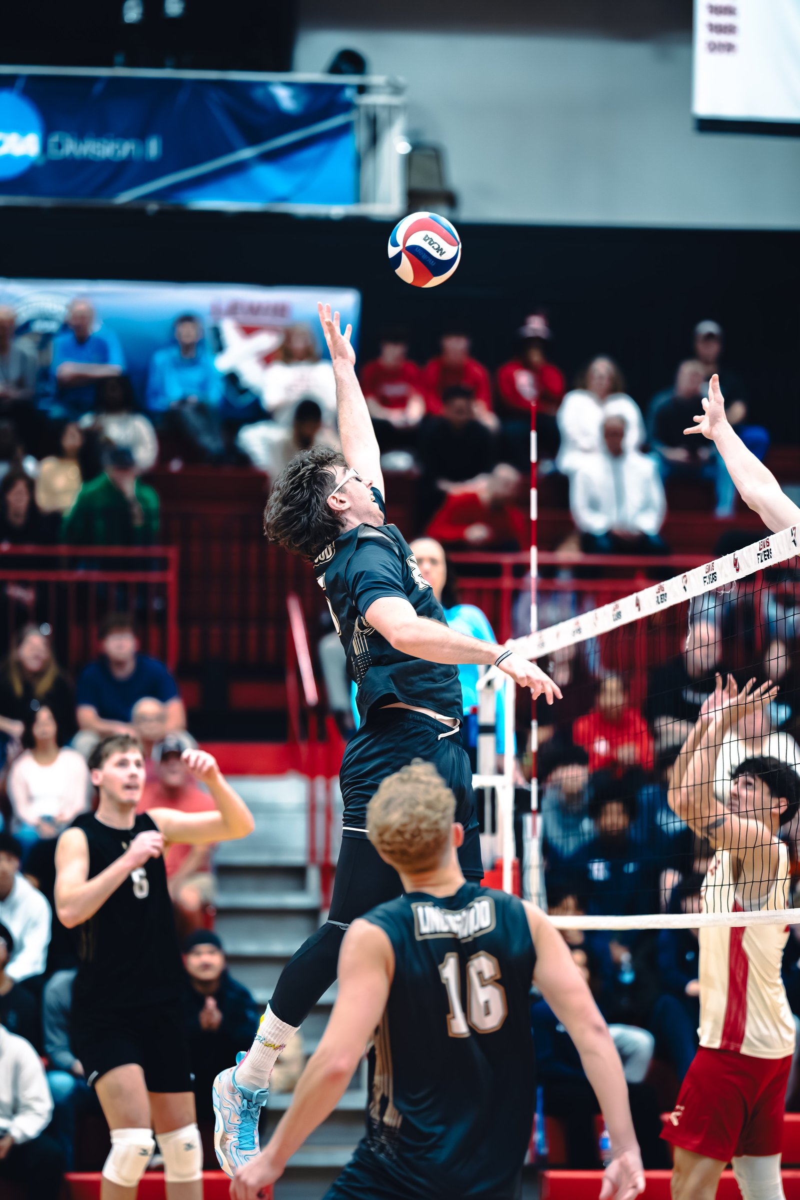 College MVB - Lewis vs Lindenwood - 04-02-2026