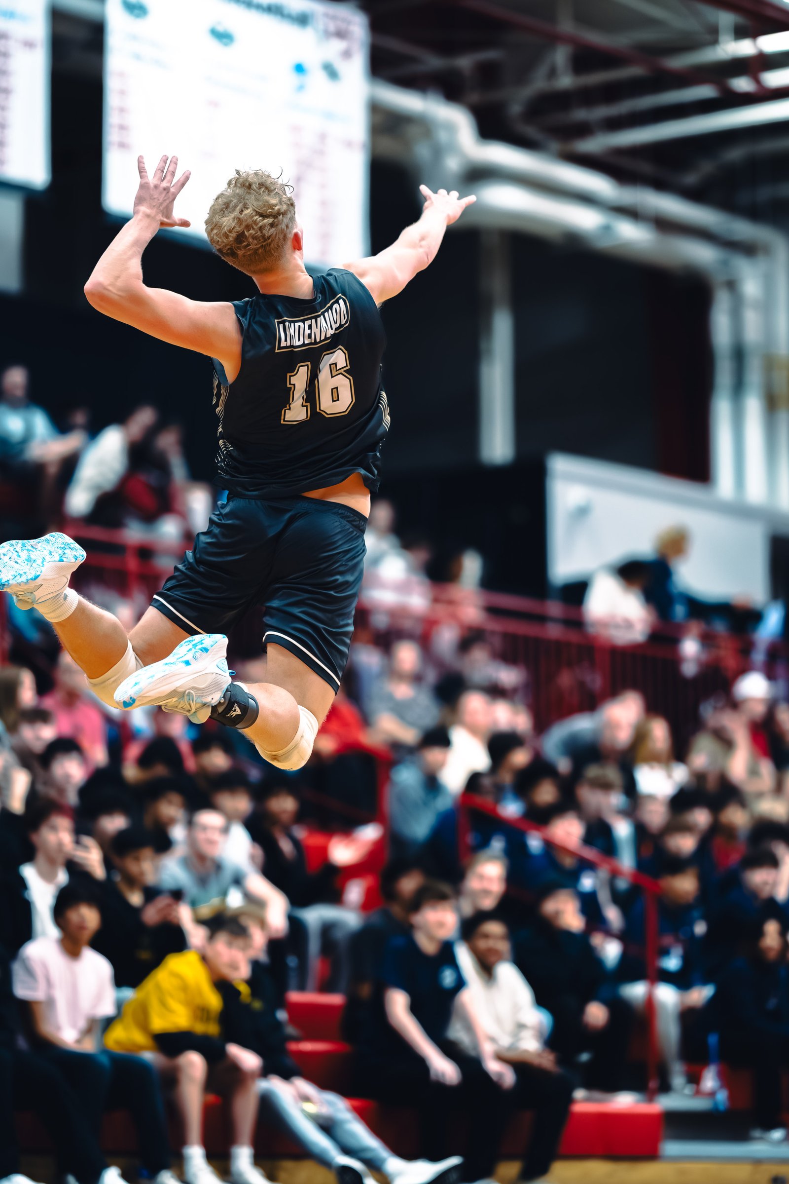 College MVB - Lewis vs Lindenwood - 04-02-2026