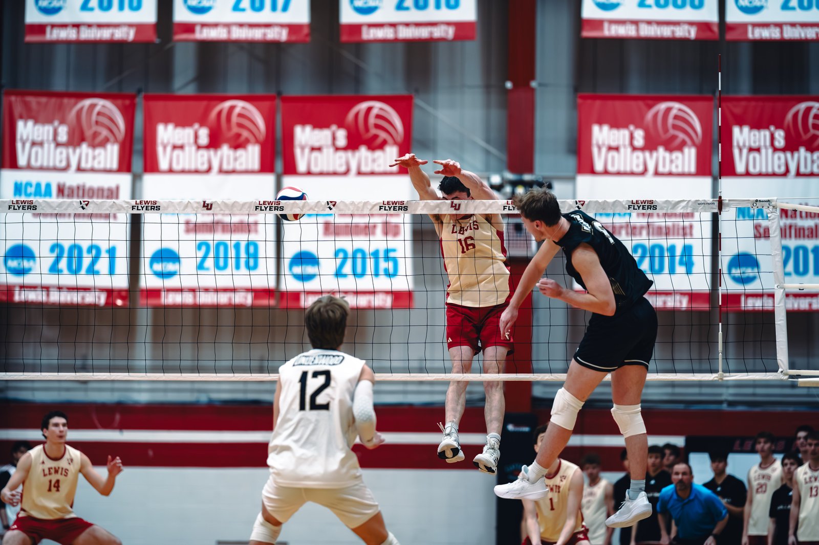 College MVB - Lewis vs Lindenwood - 04-02-2026