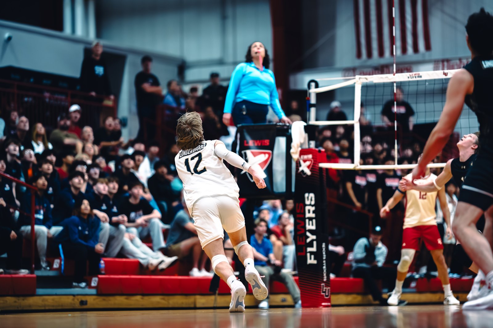 College MVB - Lewis vs Lindenwood - 04-02-2026