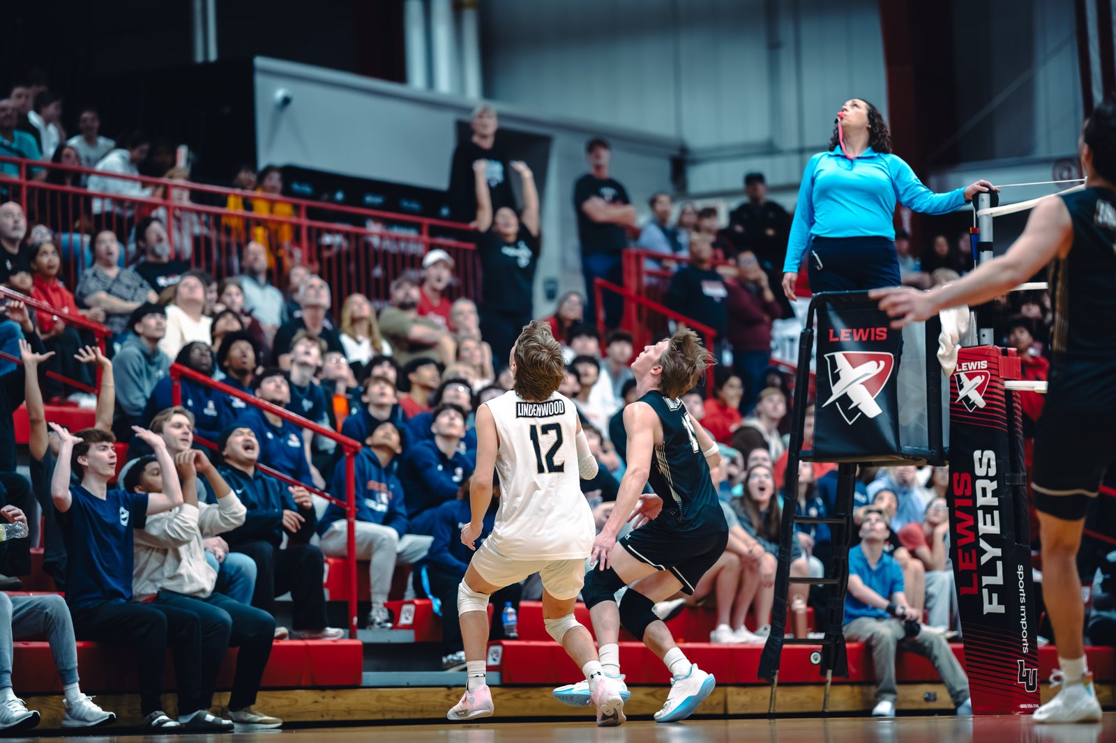 College MVB - Lewis vs Lindenwood - 04-02-2026