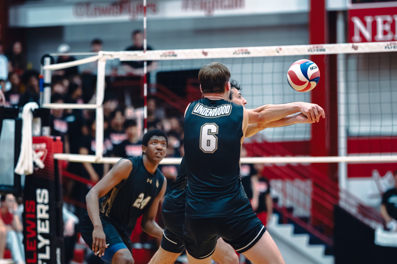 College MVB - Lewis vs Lindenwood - 04-02-2026