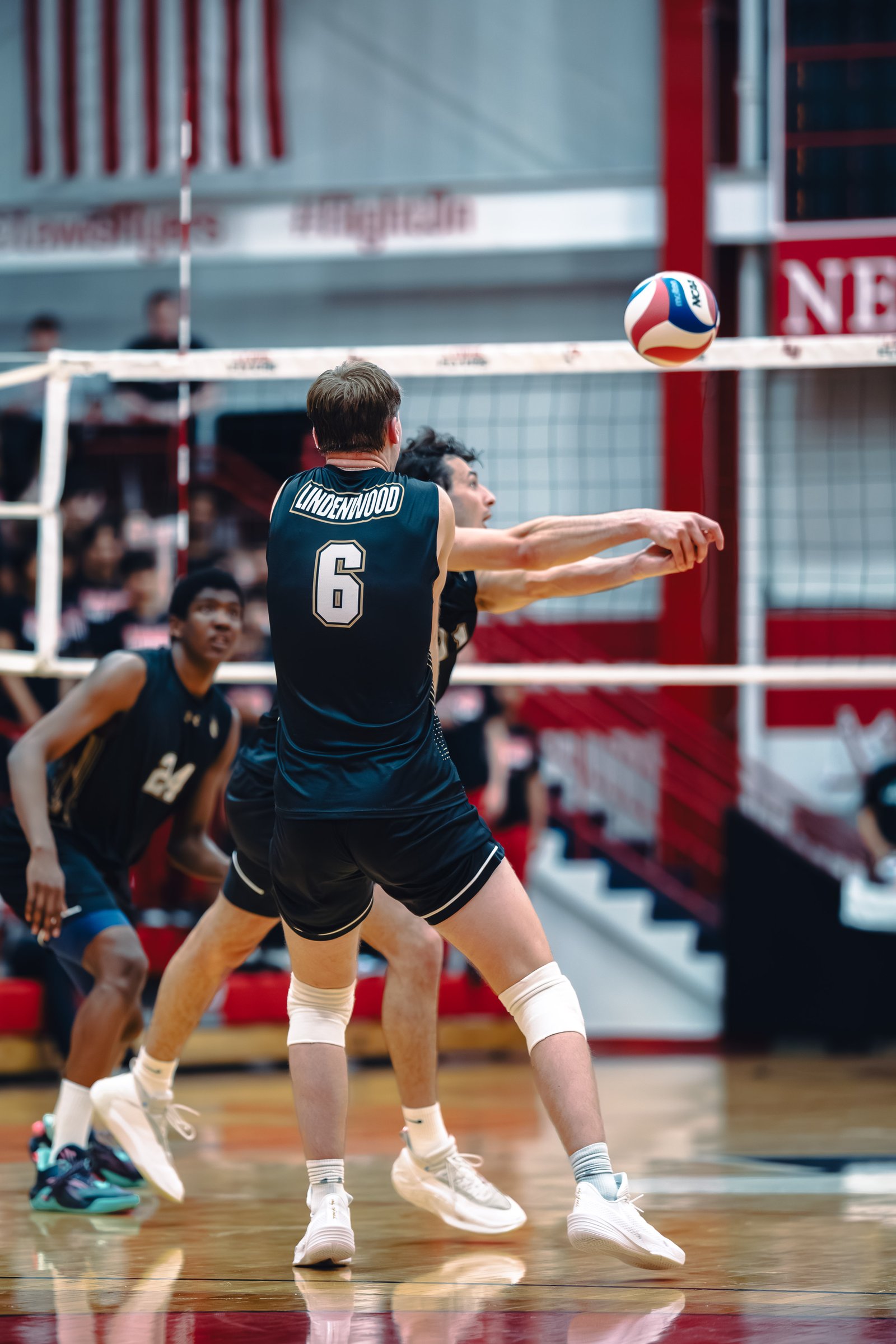 College MVB - Lewis vs Lindenwood - 04-02-2026
