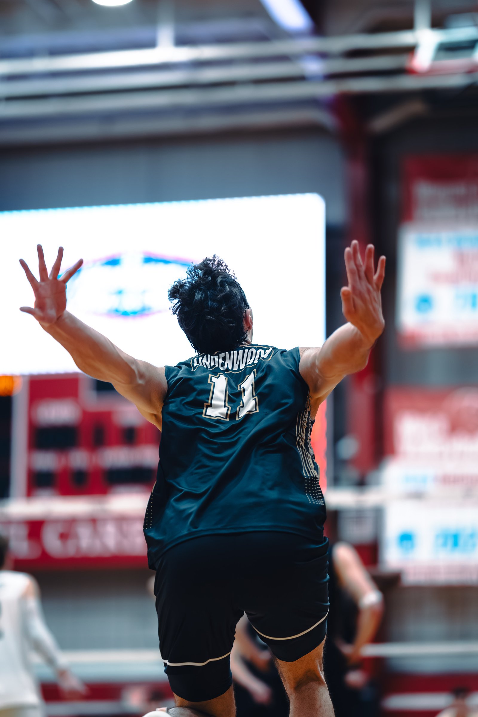 College MVB - Lewis vs Lindenwood - 04-02-2026