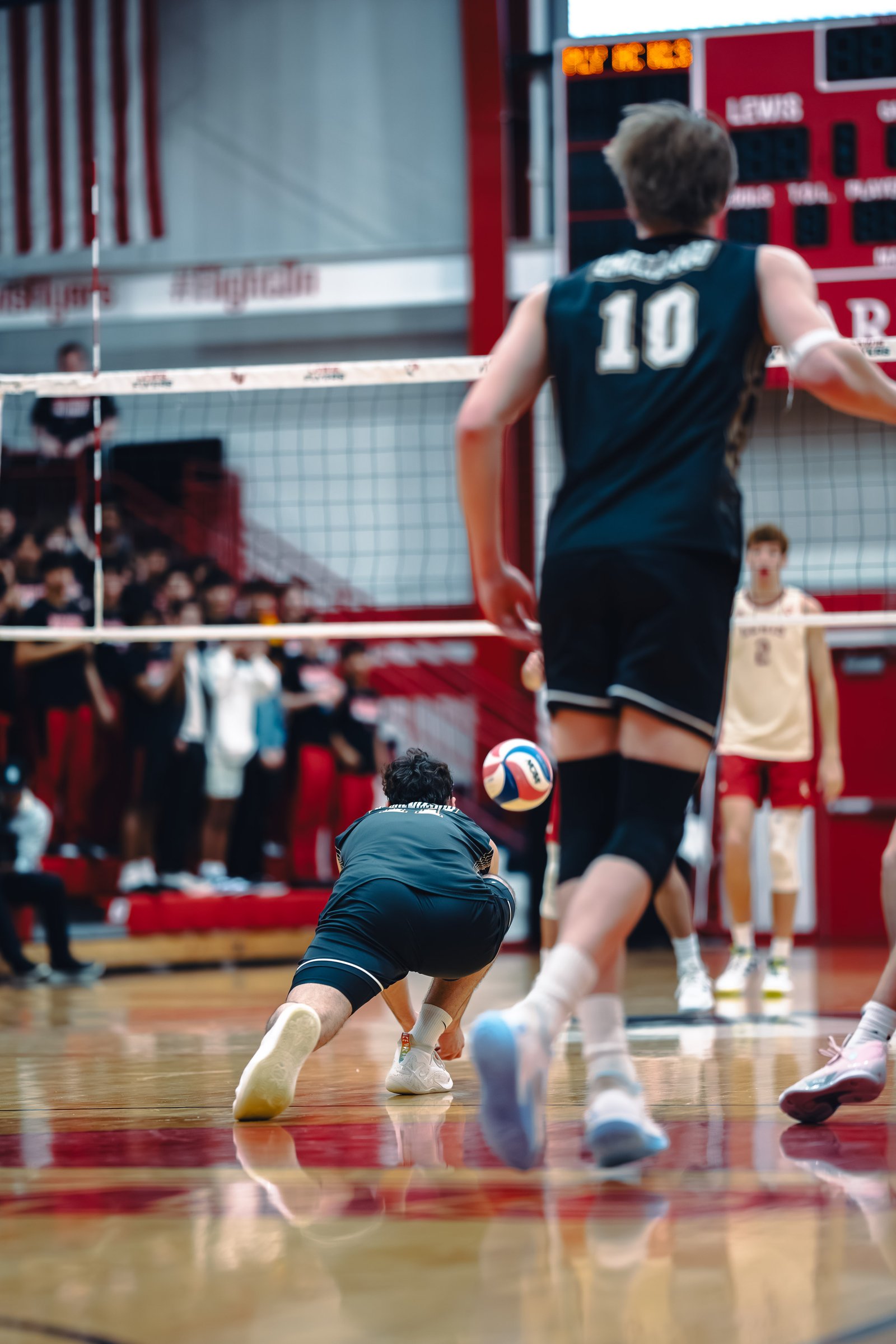 College MVB - Lewis vs Lindenwood - 04-02-2026