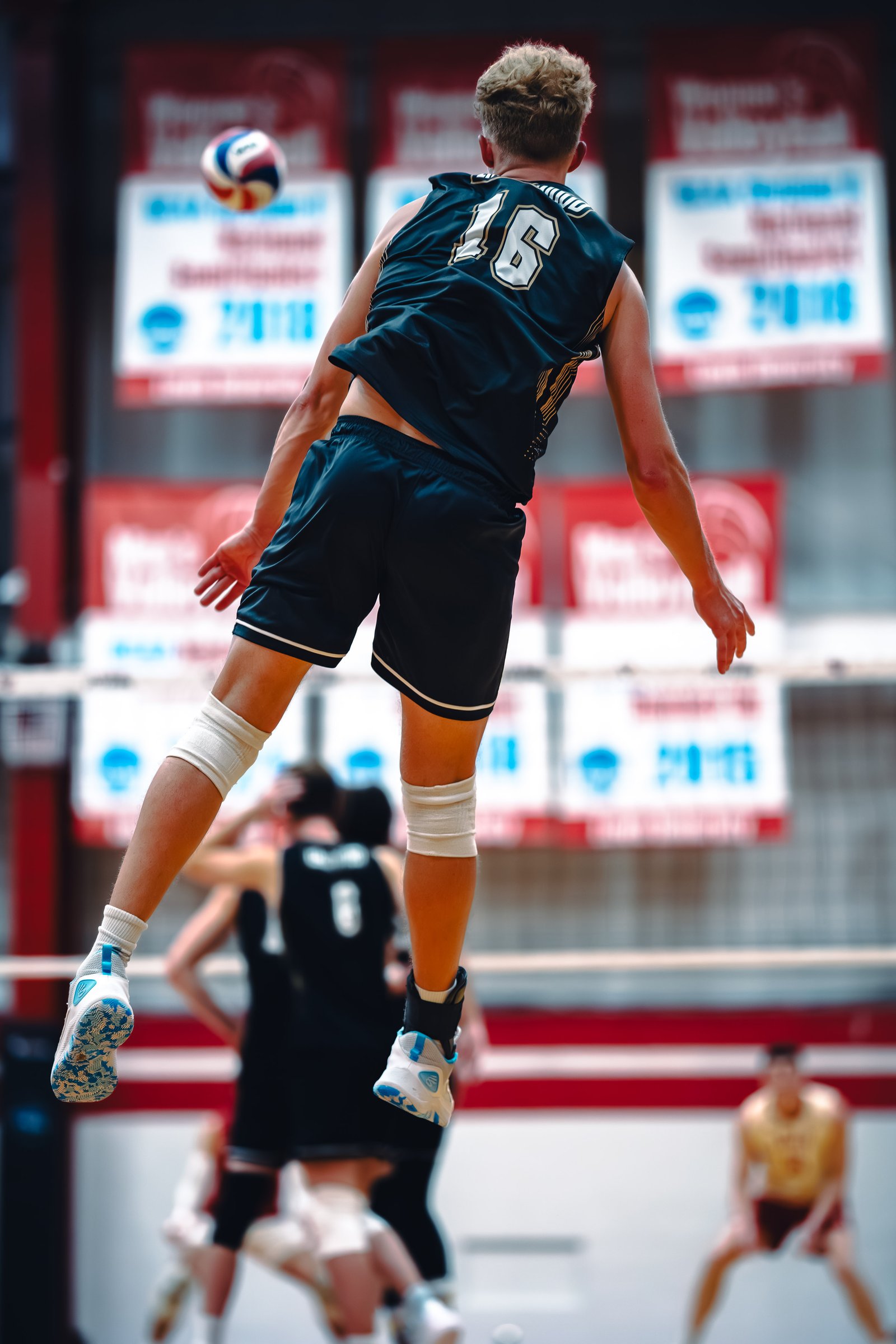 College MVB - Lewis vs Lindenwood - 04-02-2026