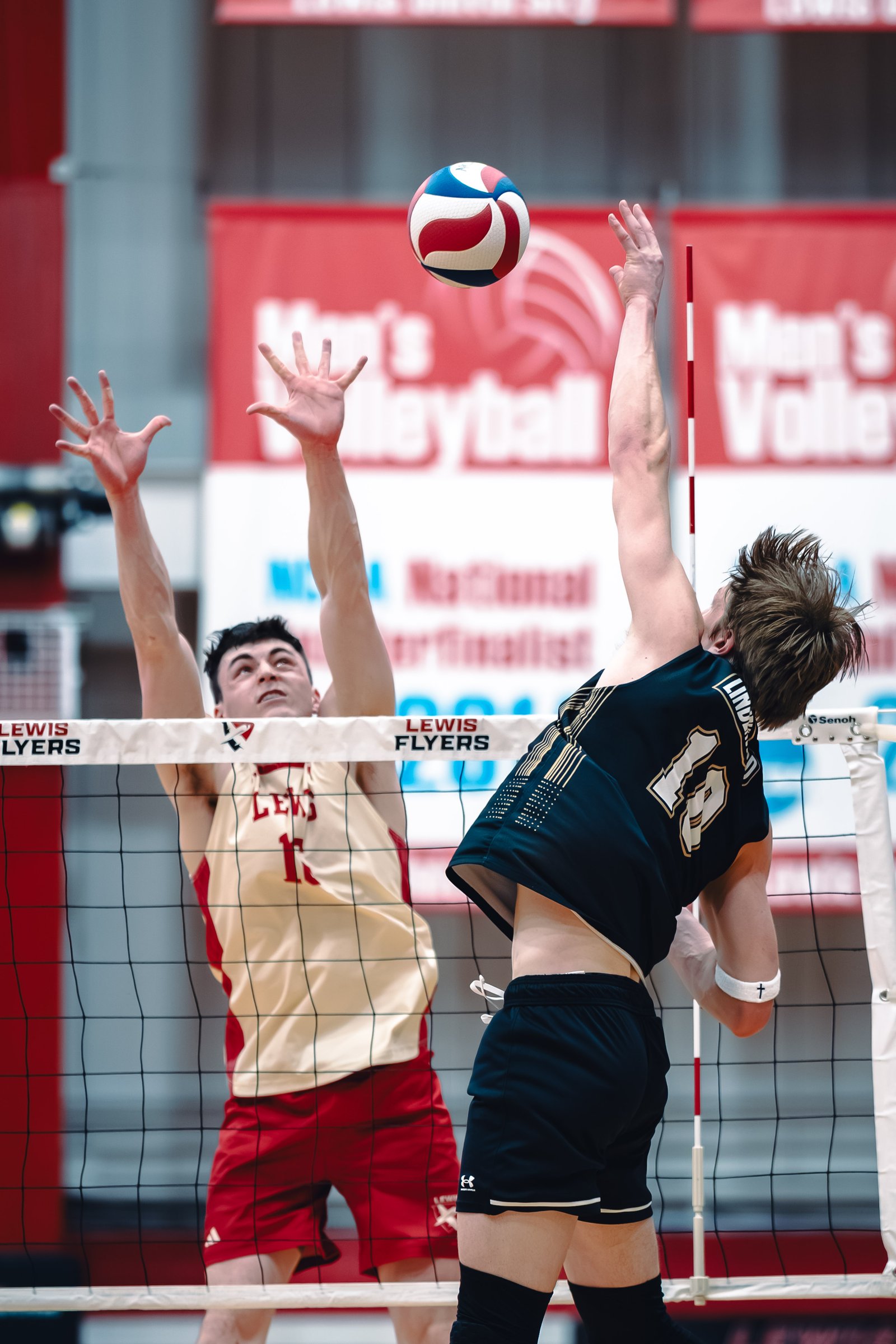 College MVB - Lewis vs Lindenwood - 04-02-2026