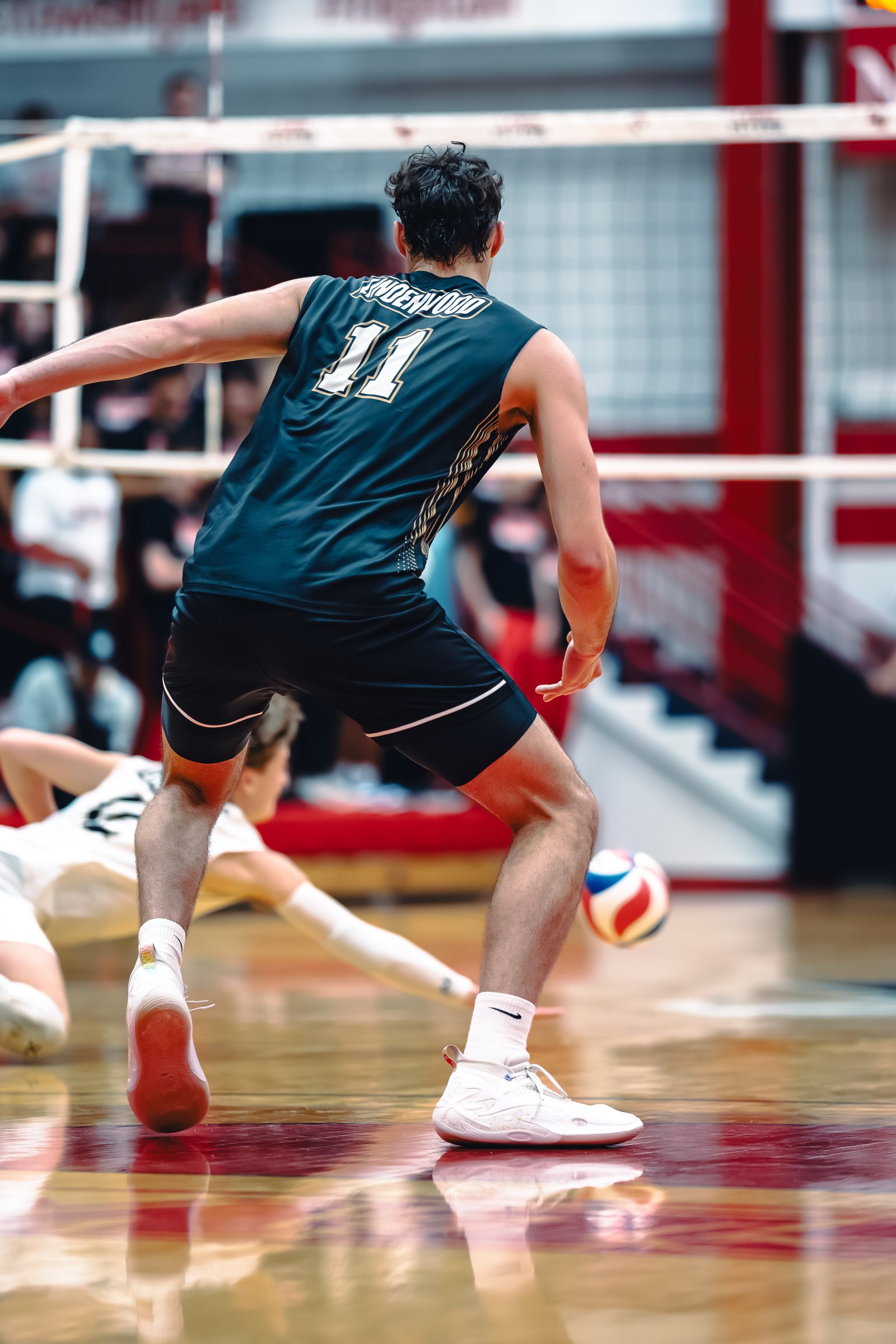 College MVB - Lewis vs Lindenwood - 04-02-2026