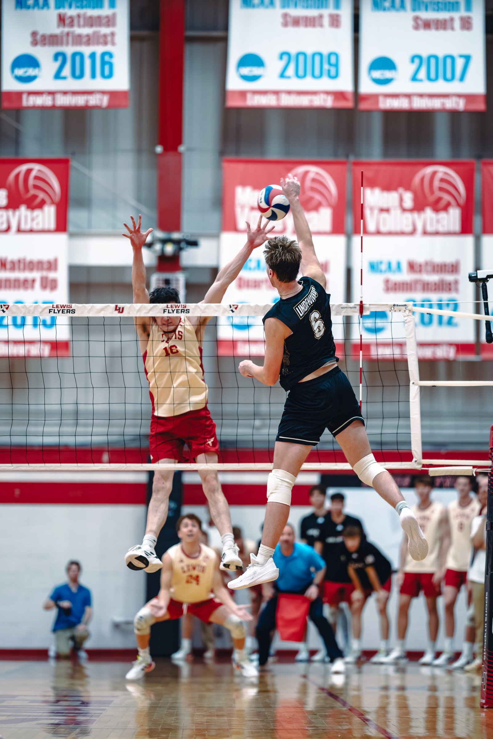 College MVB - Lewis vs Lindenwood - 04-02-2026