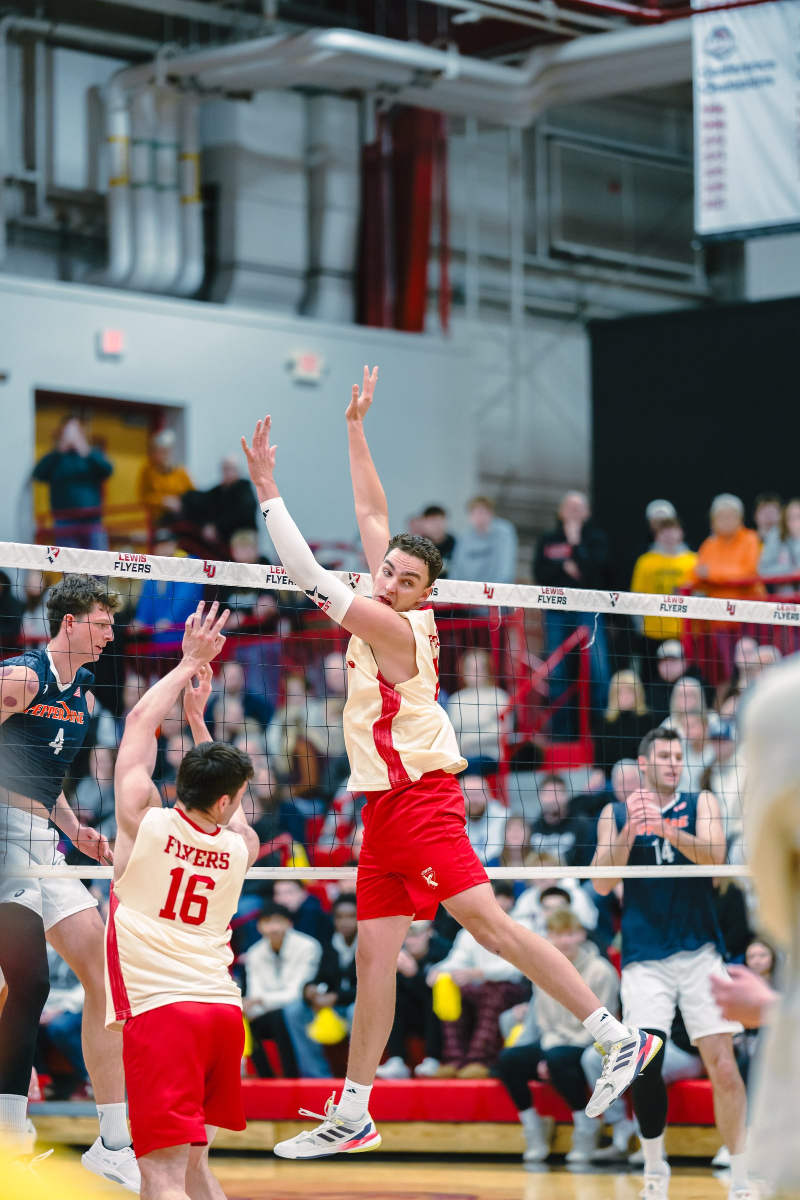 Volleyball players in red and blue uniforms jump at the net during a game.