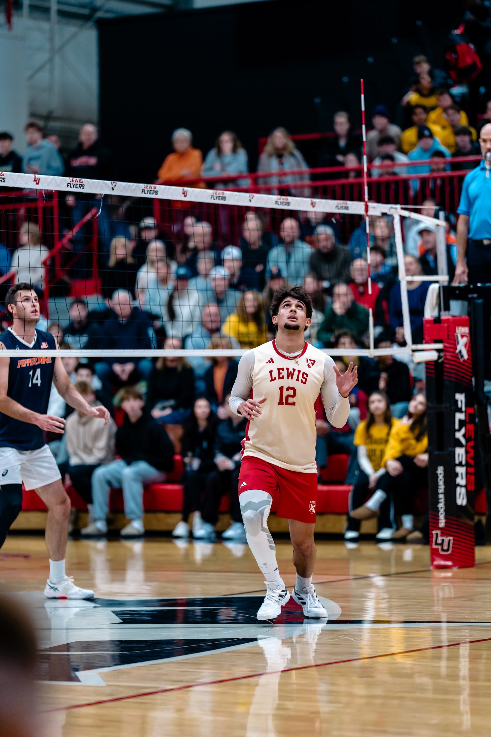 Volleyball player number 12 in red and white prepares to play during a Lewis vs Pepperdine game.