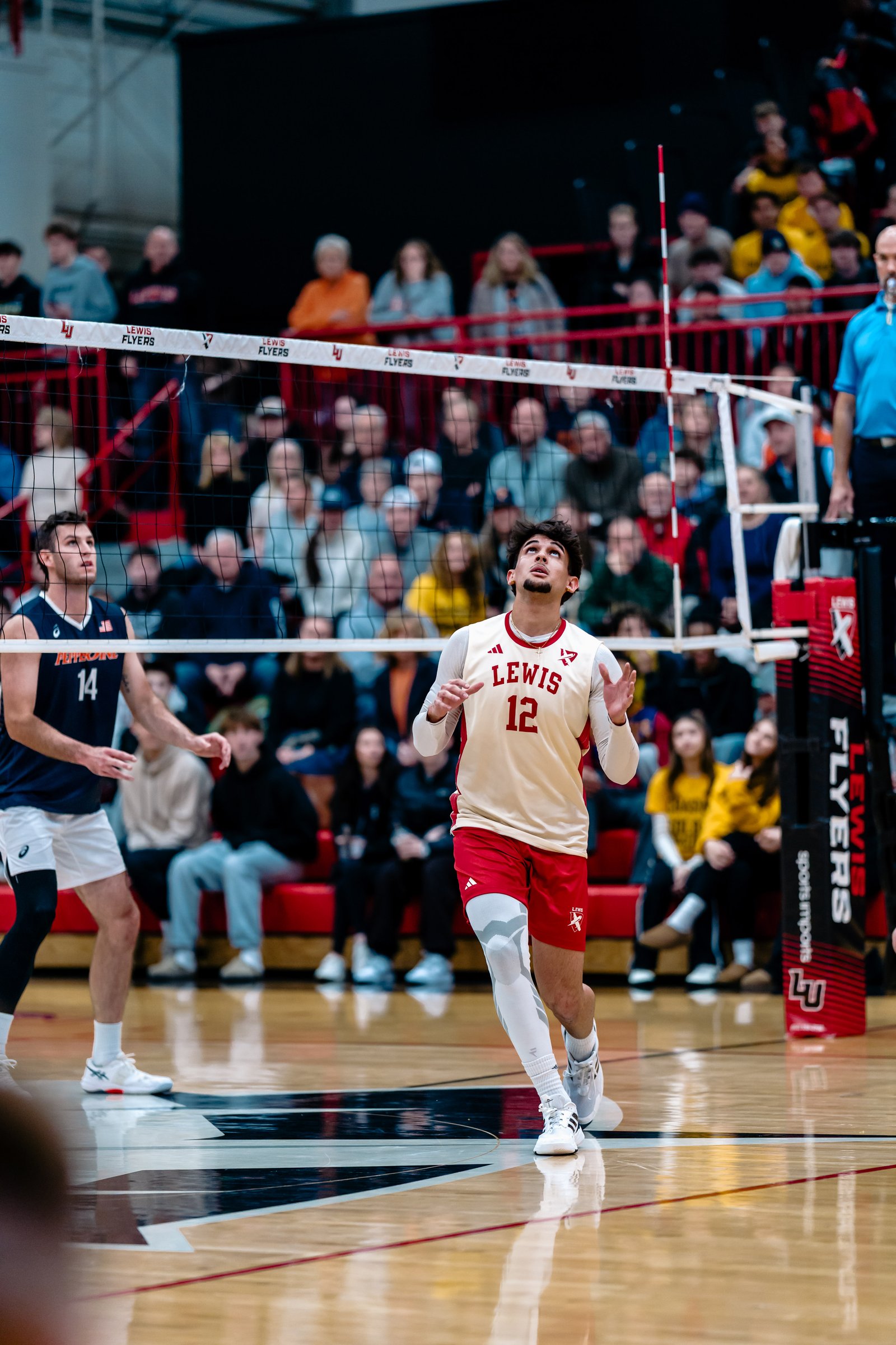 Volleyball players in action during a Lewis vs Pepperdine game. Player 12 in red and white, player 14 in navy.