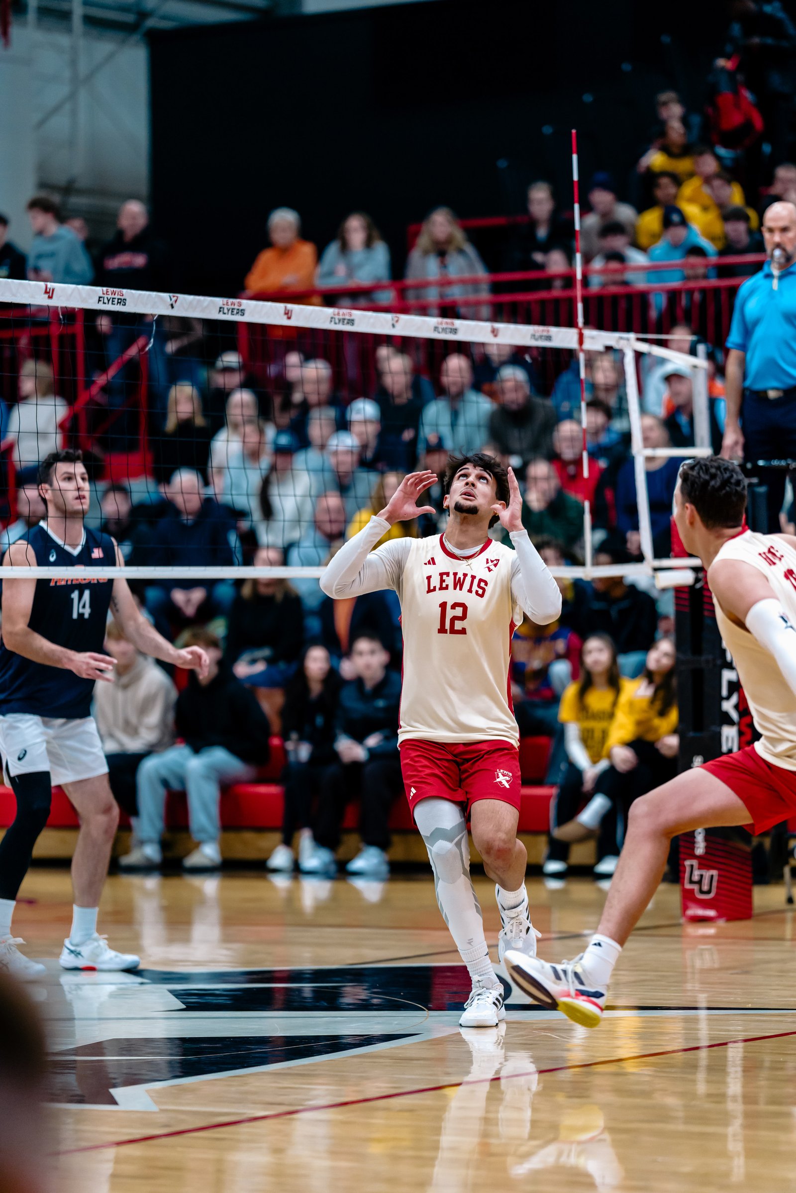 A Lewis player in a cream and red jersey with number 12 looks up during a volleyball match.