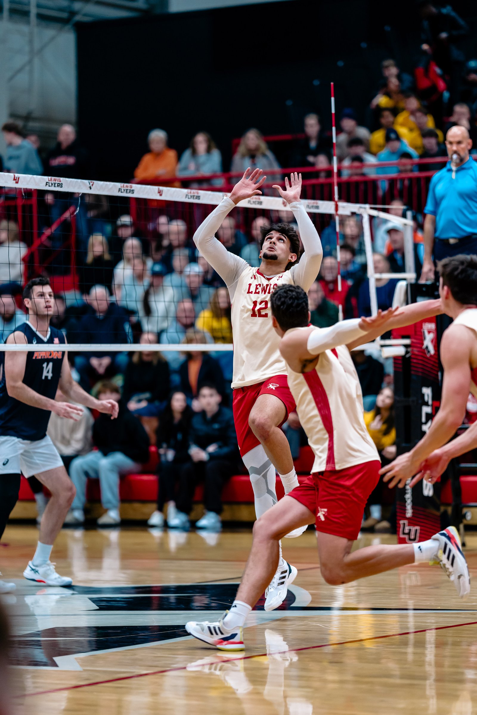 Lewis player number 12 sets the ball during a volleyball match against Pepperdine.