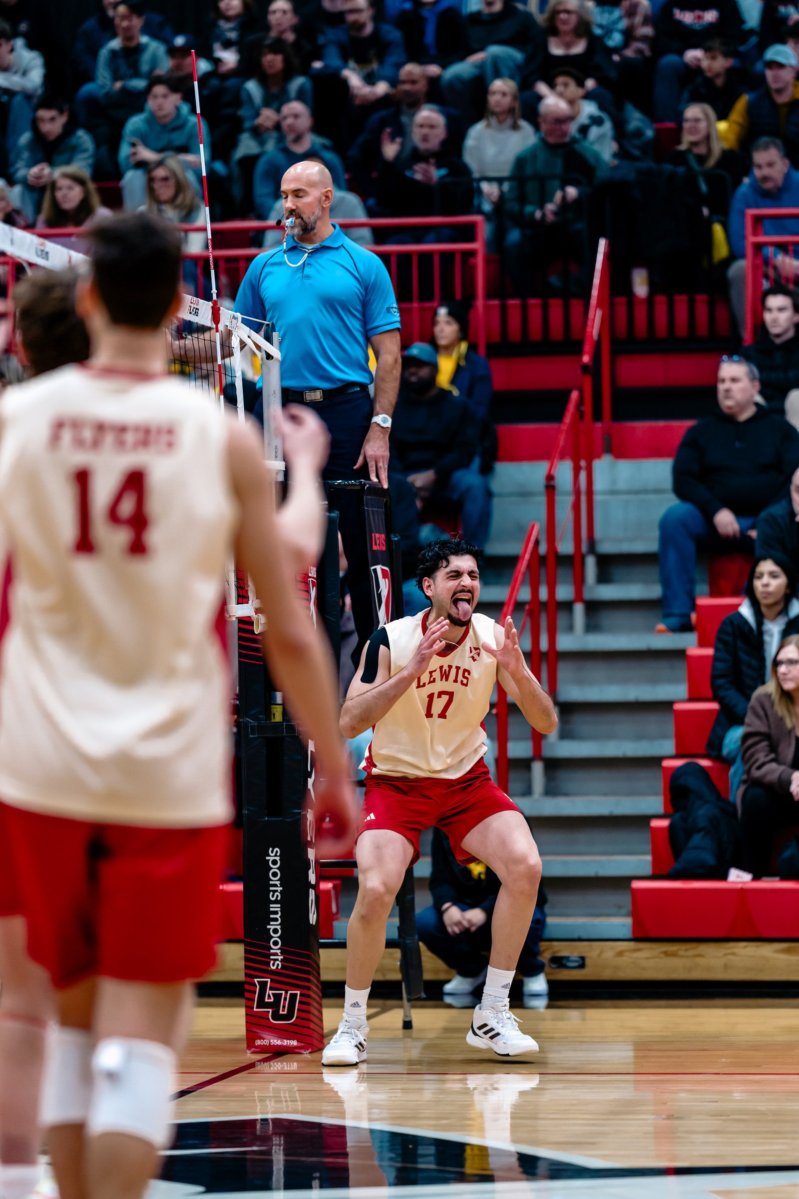A Lewis player in a cream and red uniform with number 17 on his jersey celebrates on the court during a volleyball match.