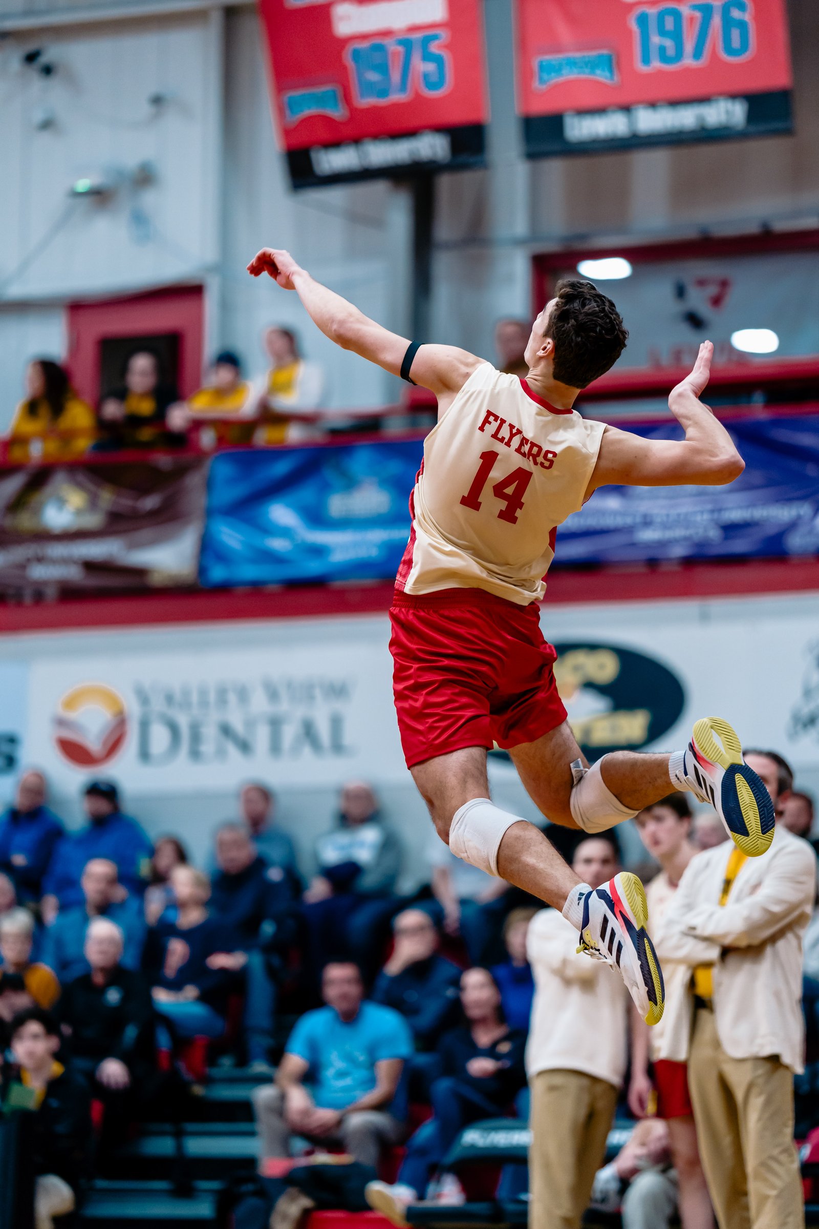 A volleyball player in a cream and red uniform with number 14 spikes the ball during a game.