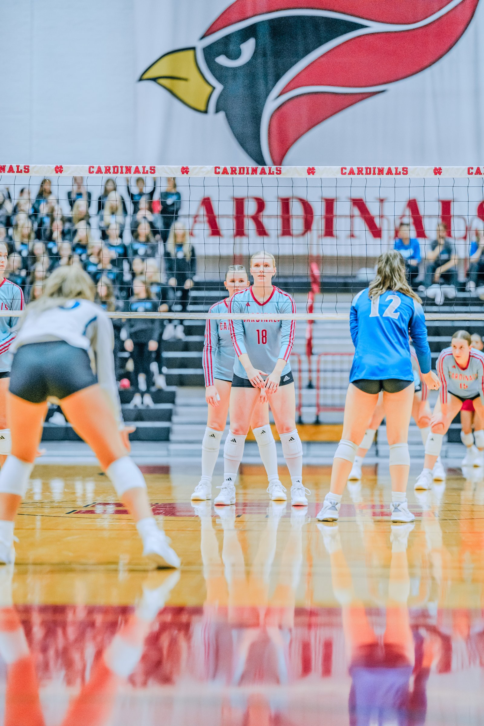 Players in gray and blue jerseys face off at the net, with player 18 in gray and player 12 in blue visible. A large cardinal logo is in the background.