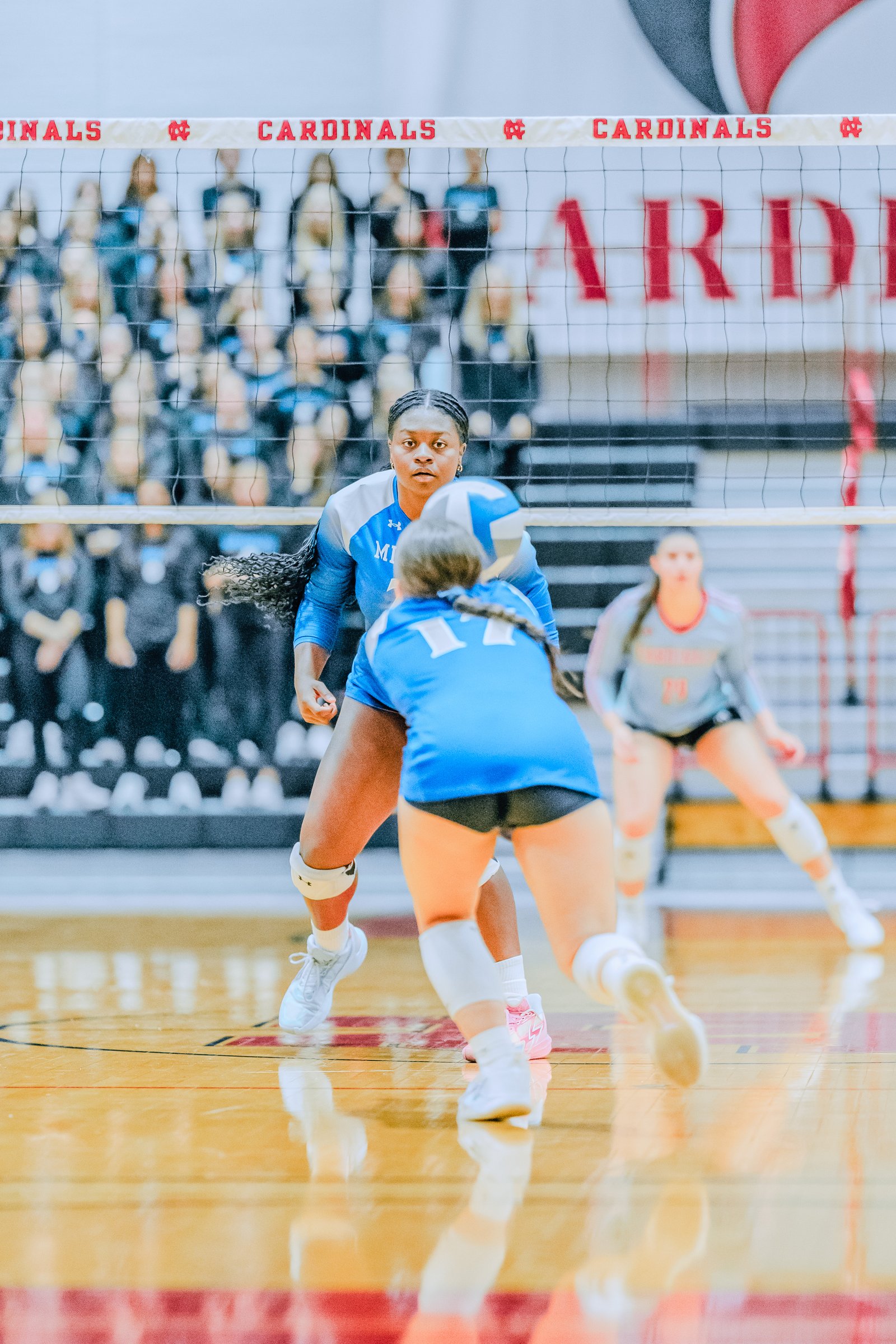 Player #17 in blue prepares to receive a volleyball from player #14 in blue, while player #29 in gray watches.