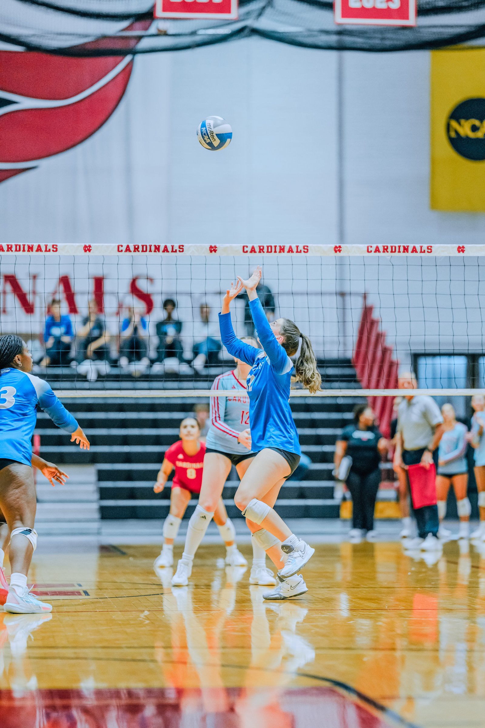A player in blue sets the volleyball as players in blue and red watch during a game. Player 3 in blue and player 12 in red are visible.
