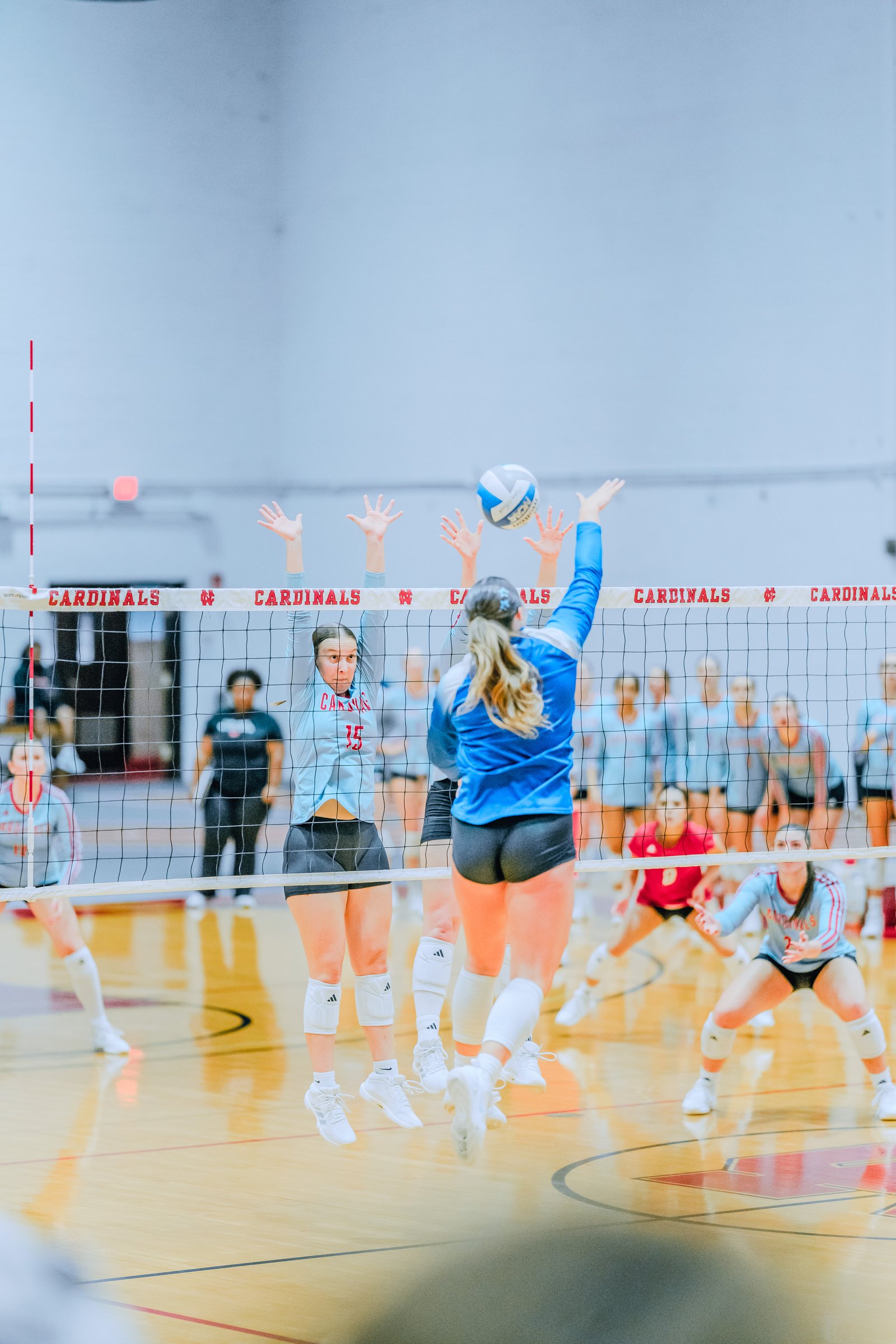 Player #15 in light blue jumps to hit the ball over the net as players in light blue and red defend. Player #2 in light blue is visible.