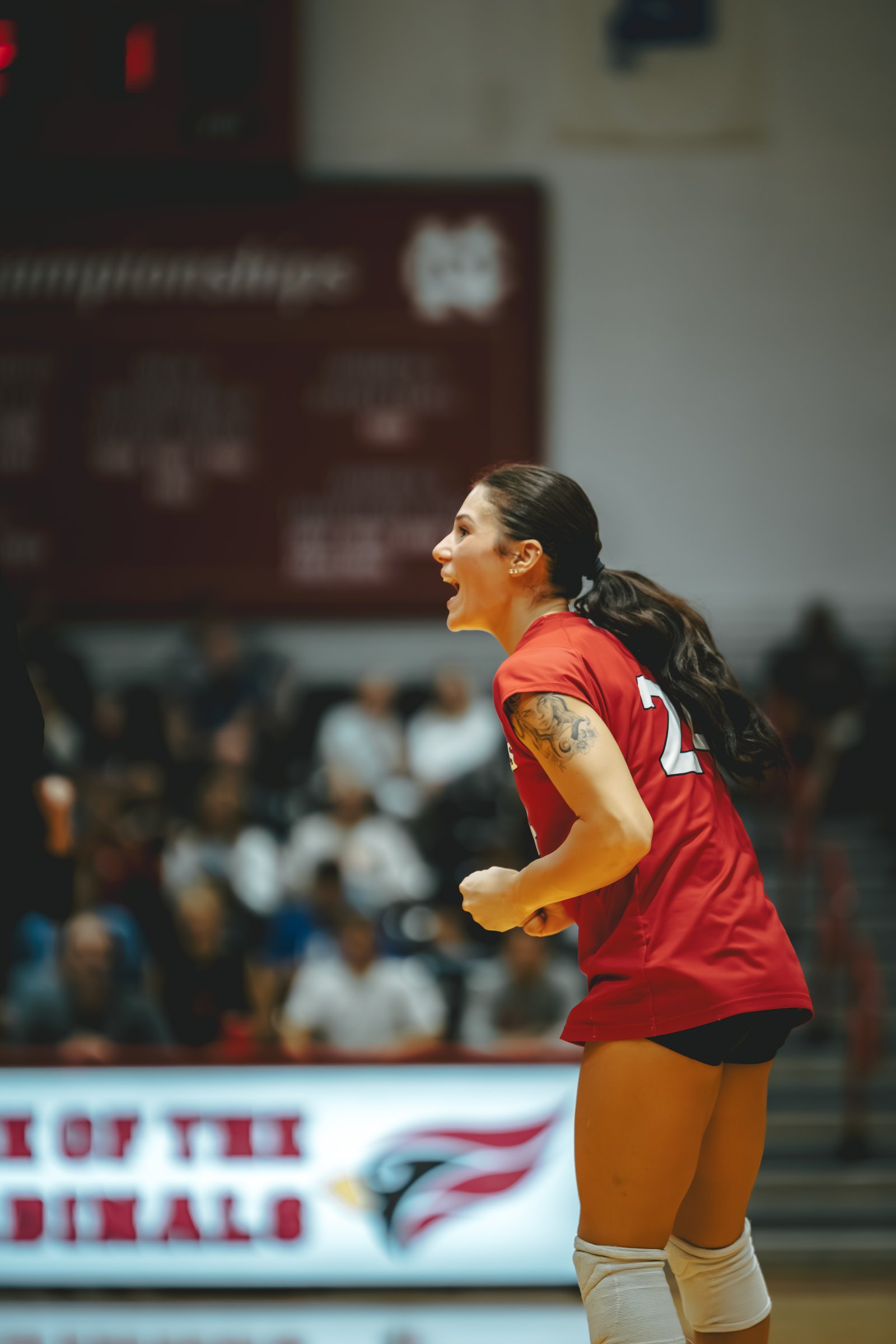 WVB - North Central vs Carthage