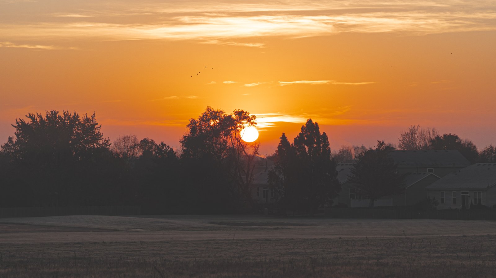 Ash & Athena - Morning Sun