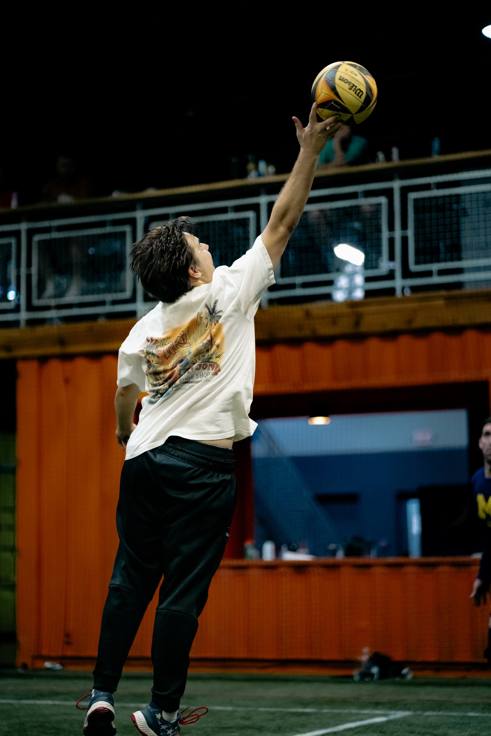 Players Sports Winter Grass Luau