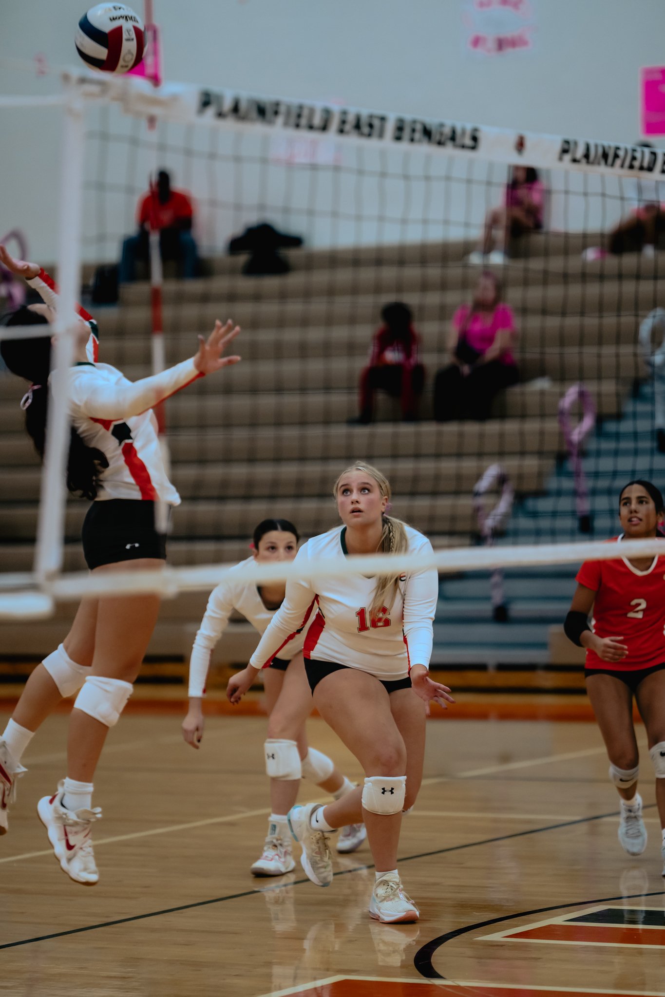 PEHS Girls VB - Dig Pink