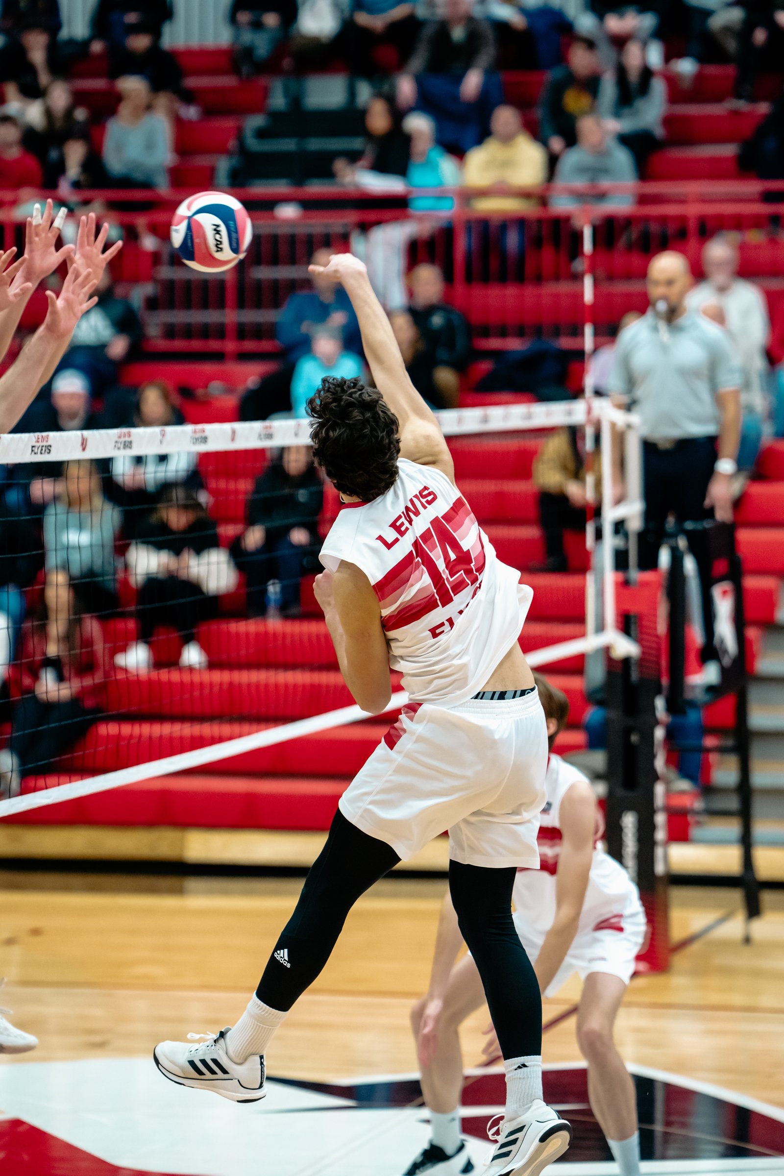 2024 Men's VB - Lewis vs Lindenwood
