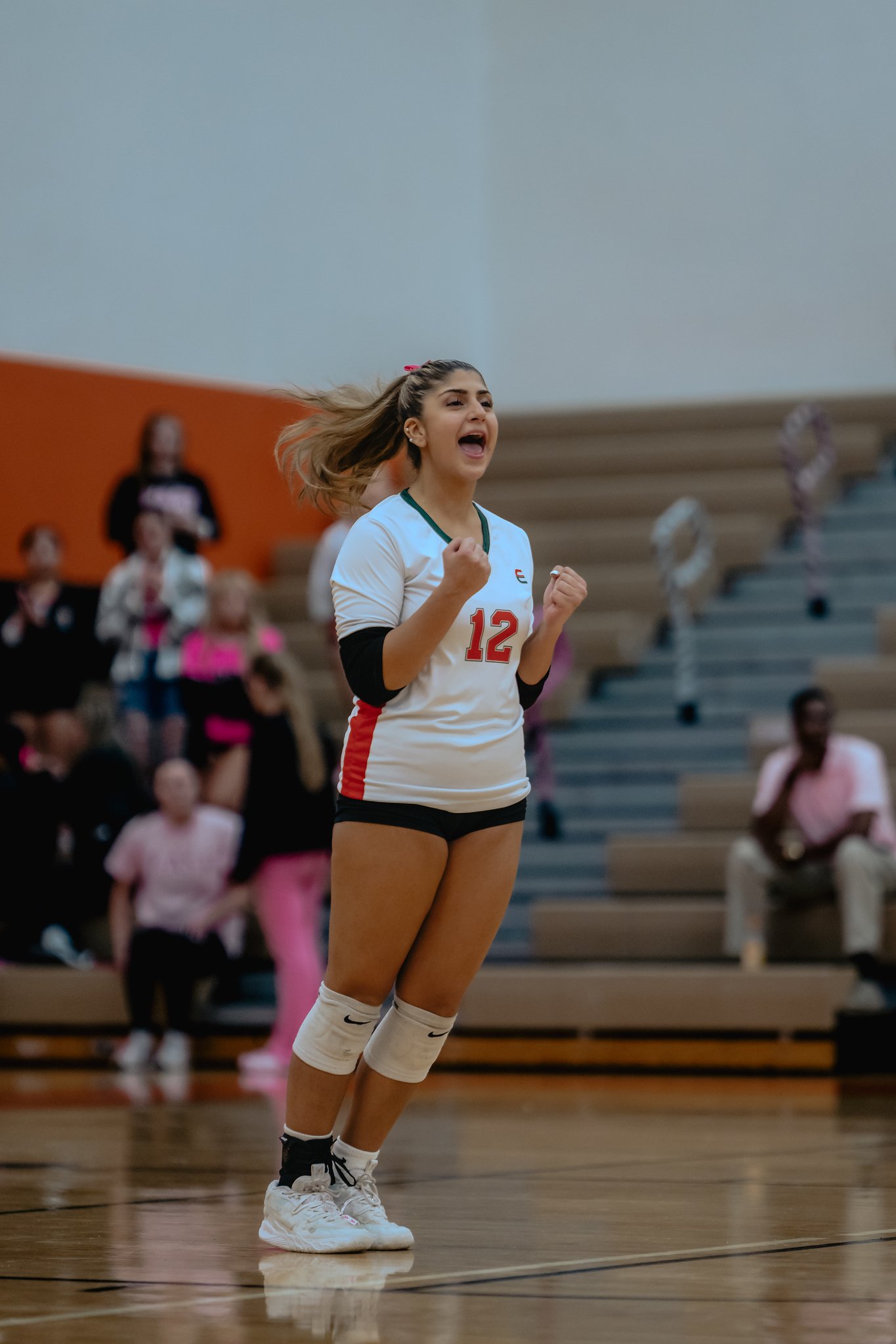 PEHS Girls VB - Dig Pink