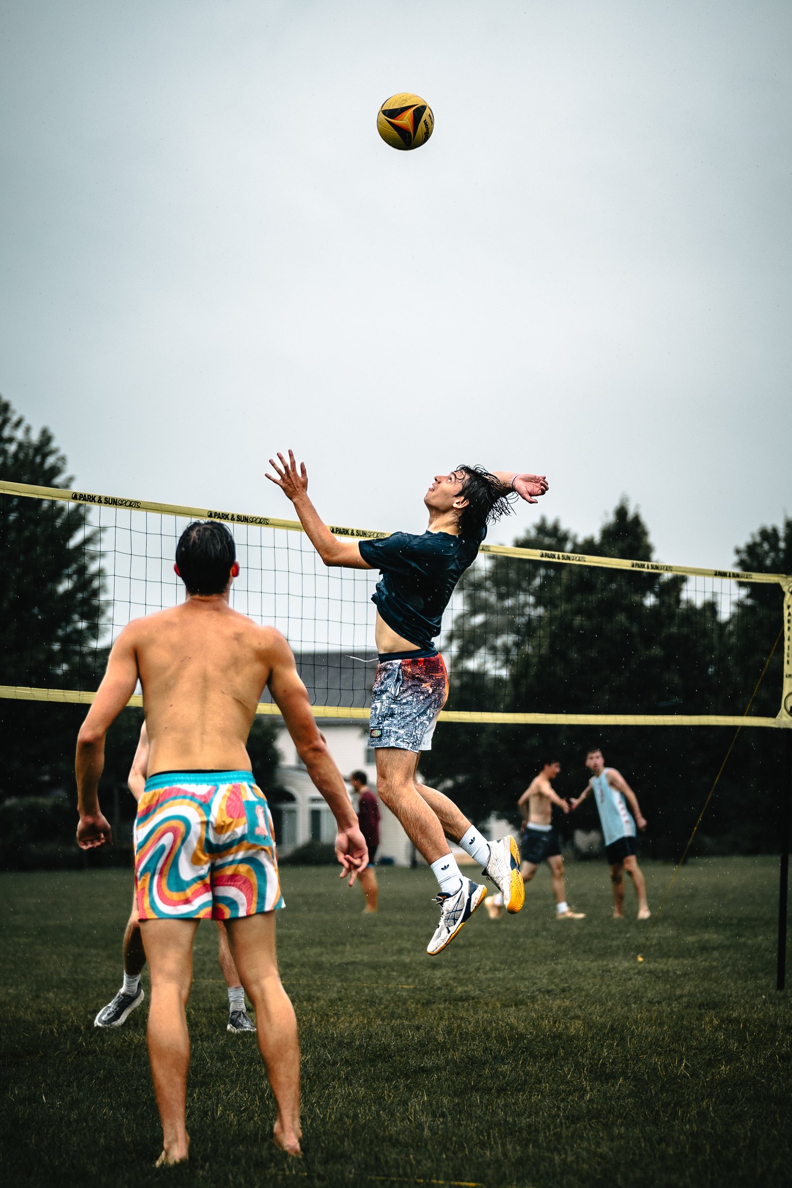 Bell Pepper Open – Official Gallery - Jan 1