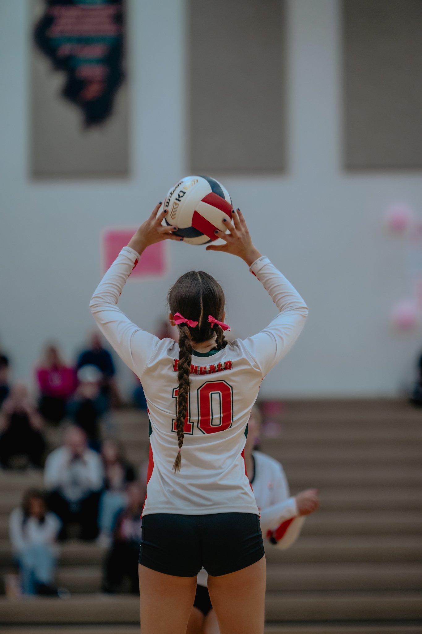 PEHS Girls VB - Dig Pink