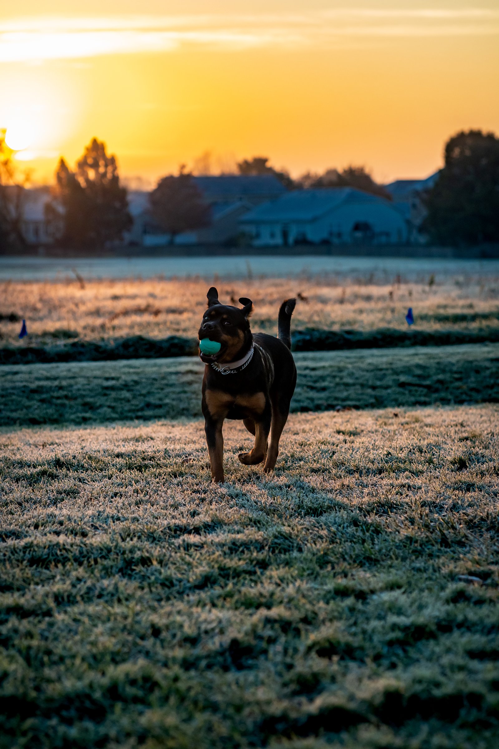 Ash & Athena - Morning Sun