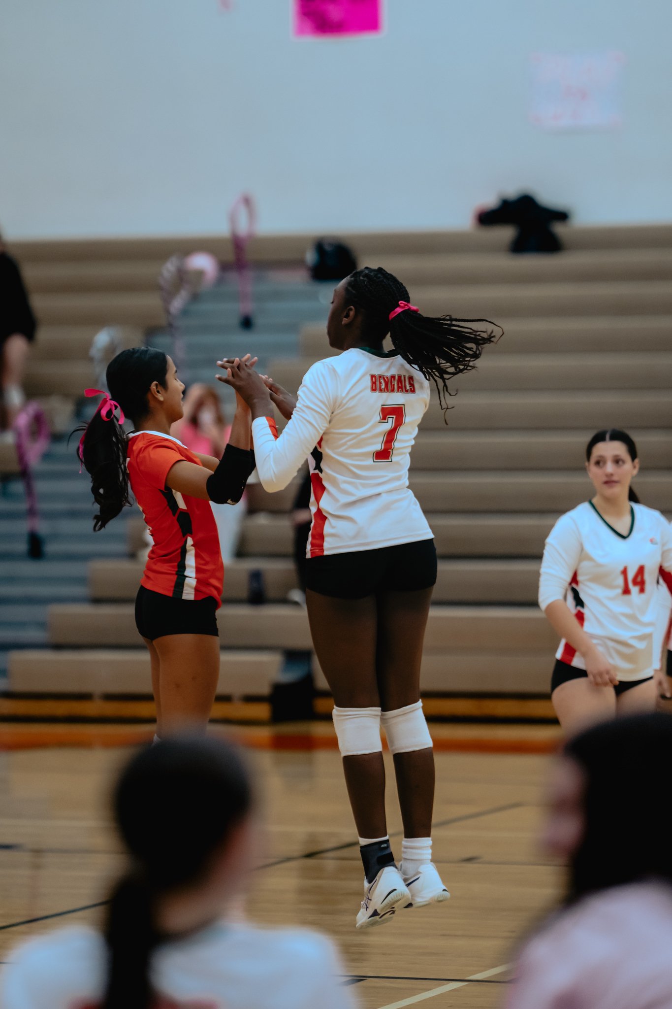 PEHS Girls VB - Dig Pink