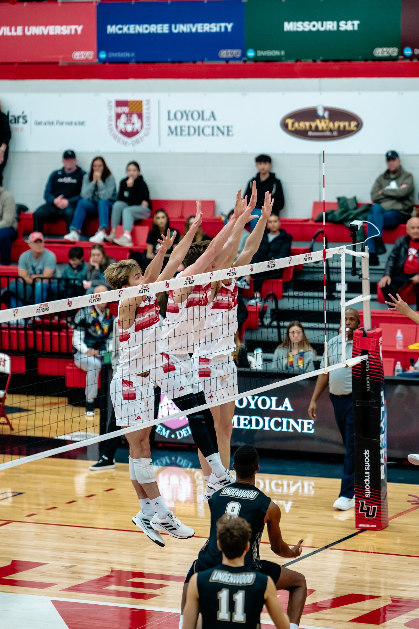2024 Men's VB - Lewis vs Lindenwood