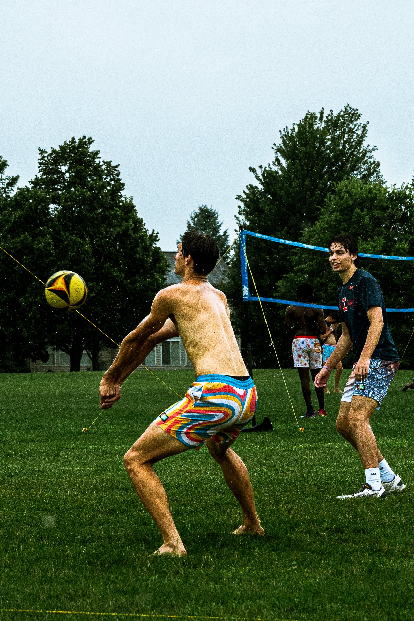 Bell Pepper Open – Official Gallery - Jan 1