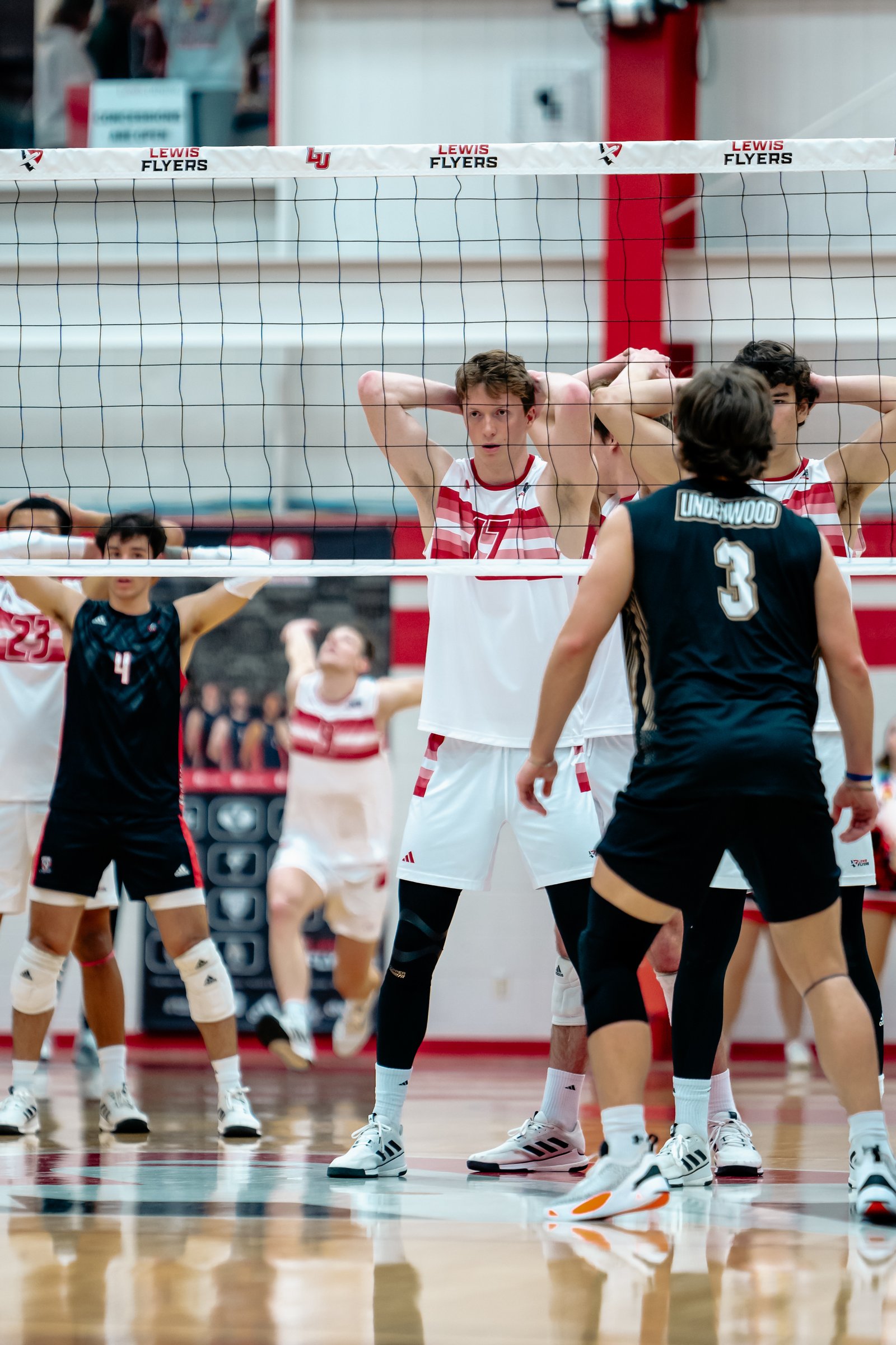 2024 Men's VB - Lewis vs Lindenwood