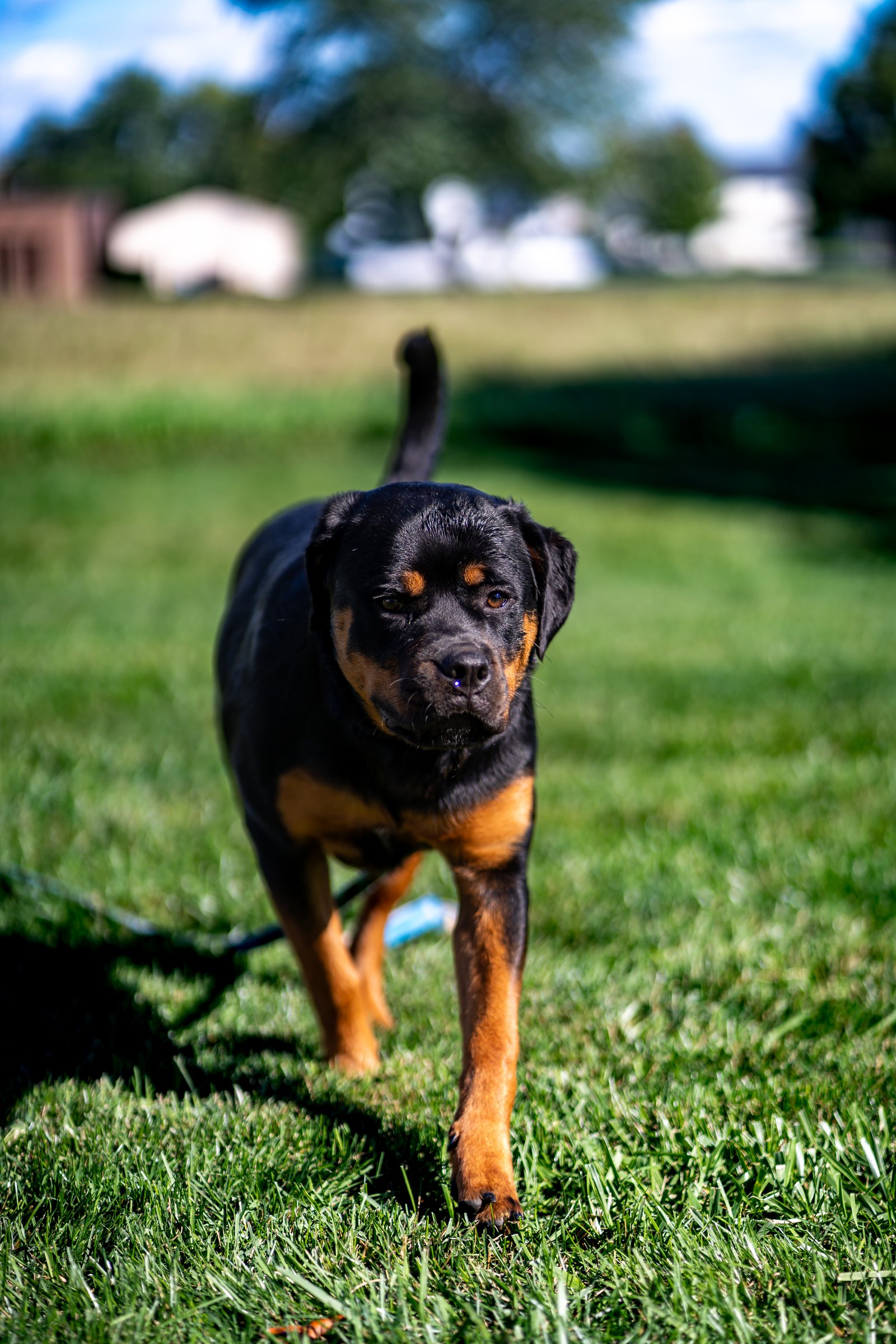 Athena - Oct 9