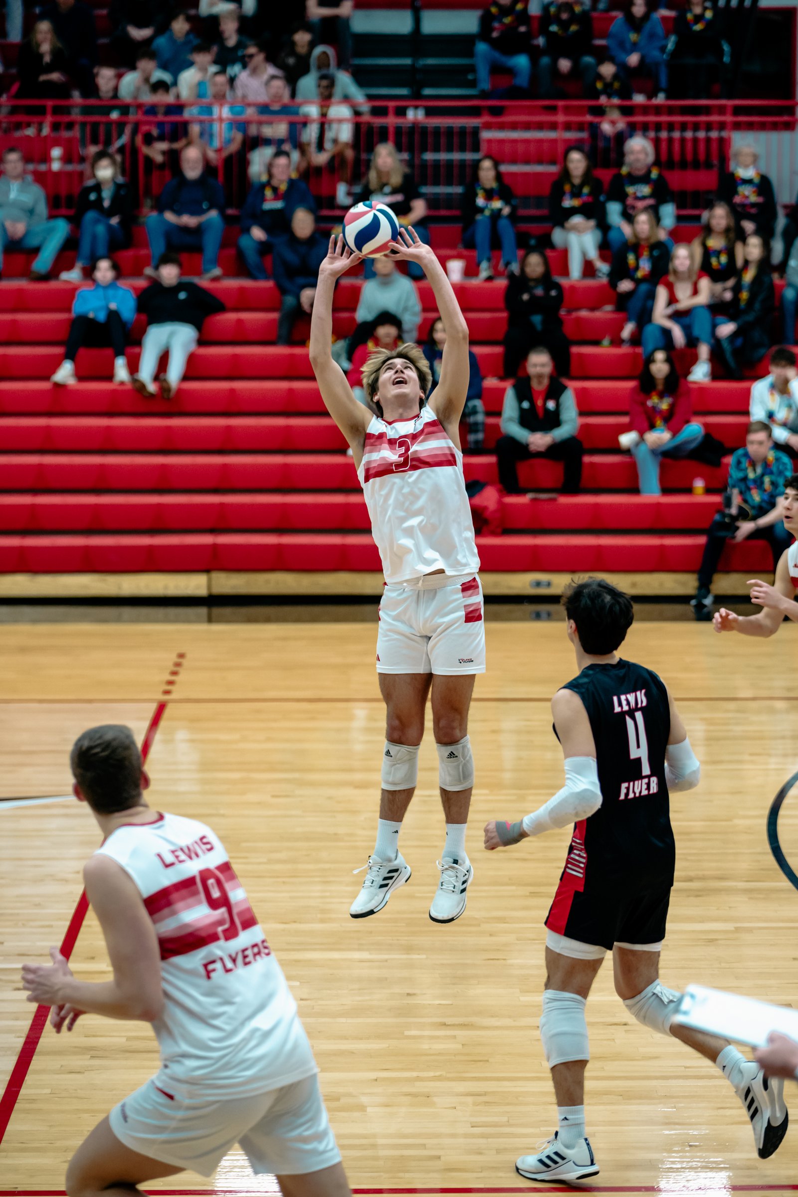2024 Men's VB - Lewis vs Lindenwood